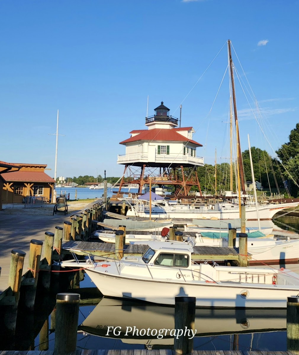 Solomon Islands Camp Ground E