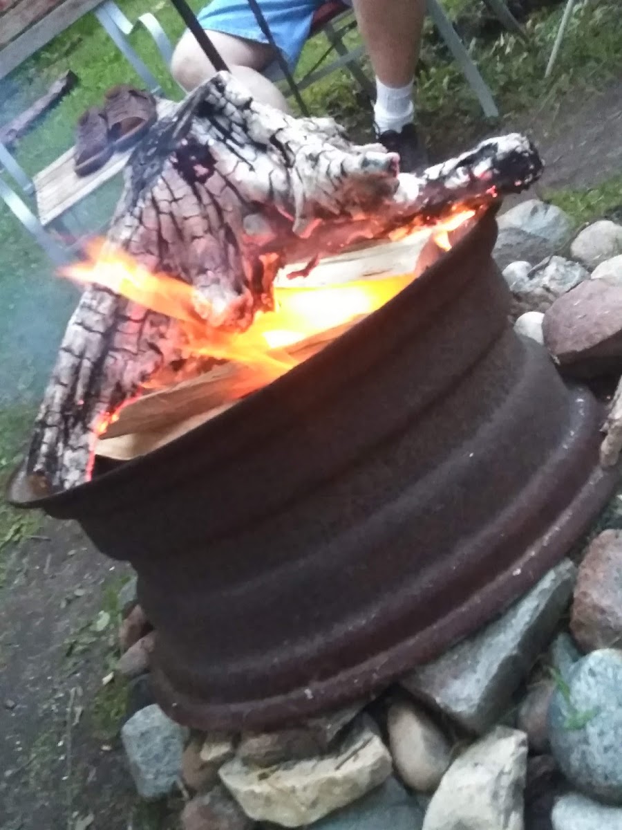 Acorn Acres on Rose Lake