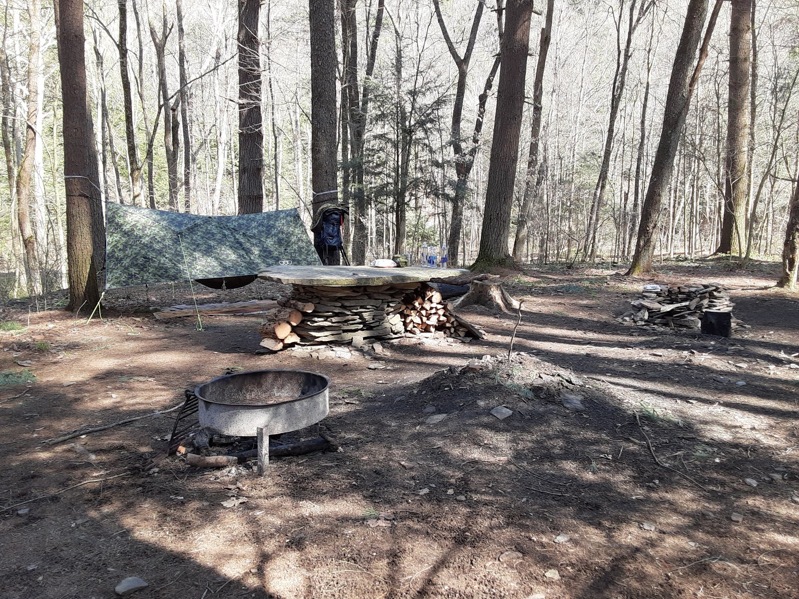 Mohican-Memorial State Forest - Backpack Campsite #3