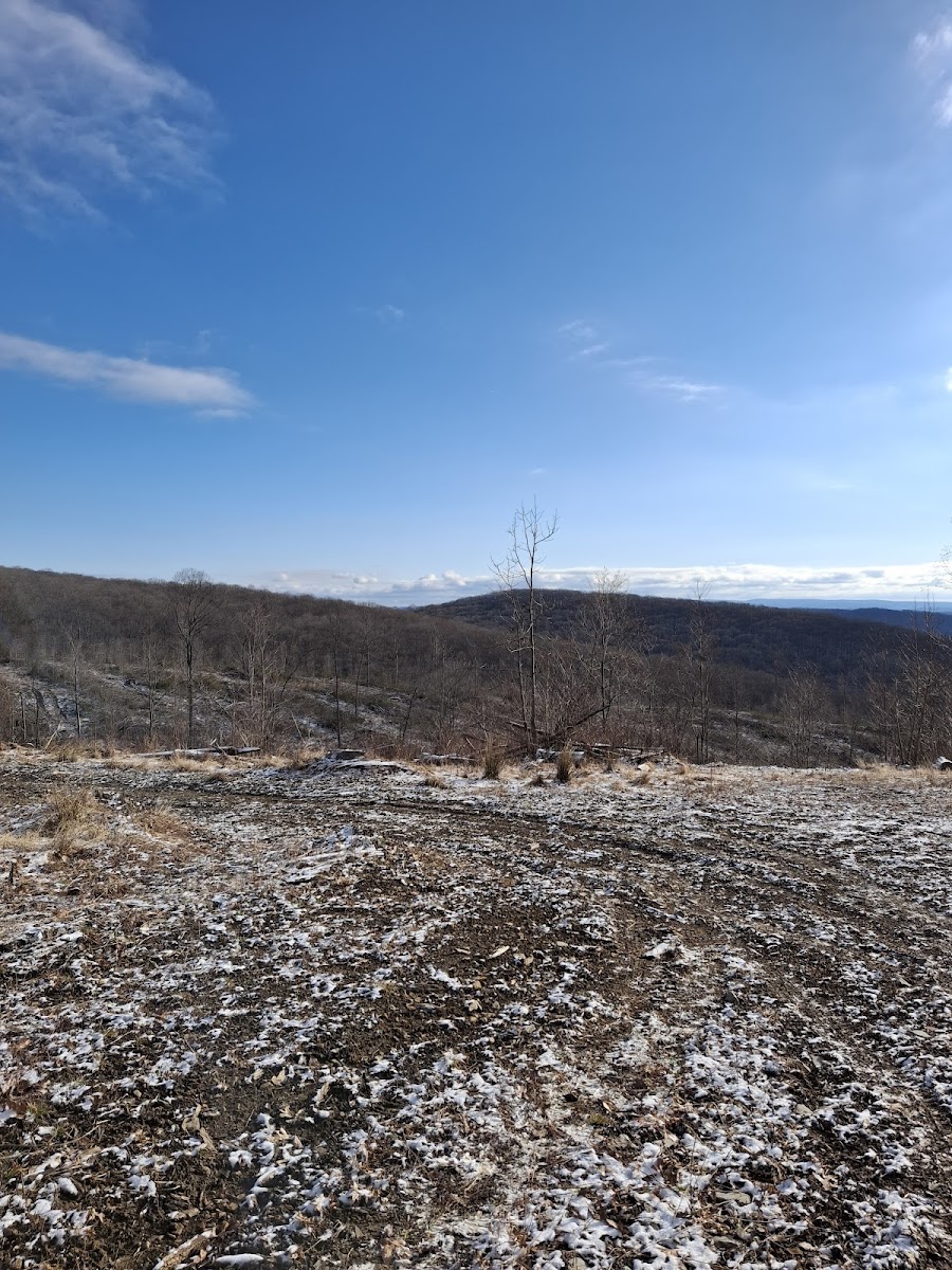 Camping Site -Shephard Rd