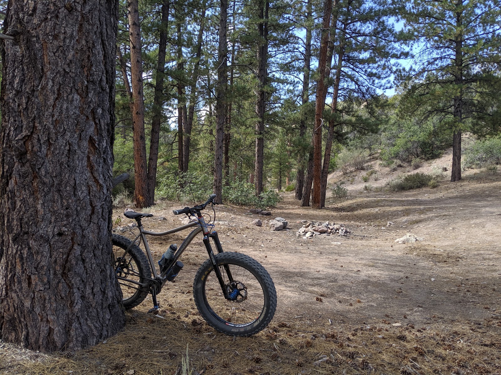 Cabin Pines Campground