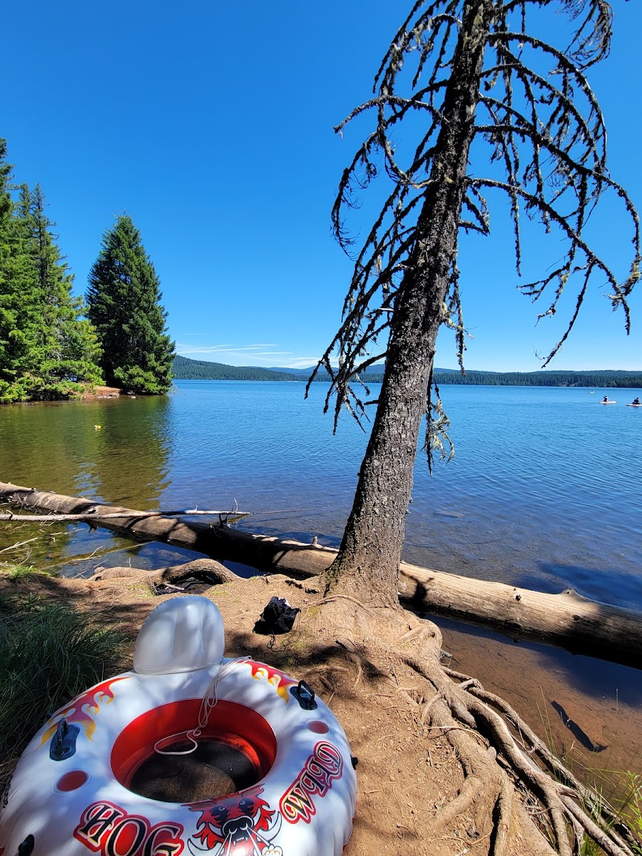 The Cove (Timothy Lake) Day-Use