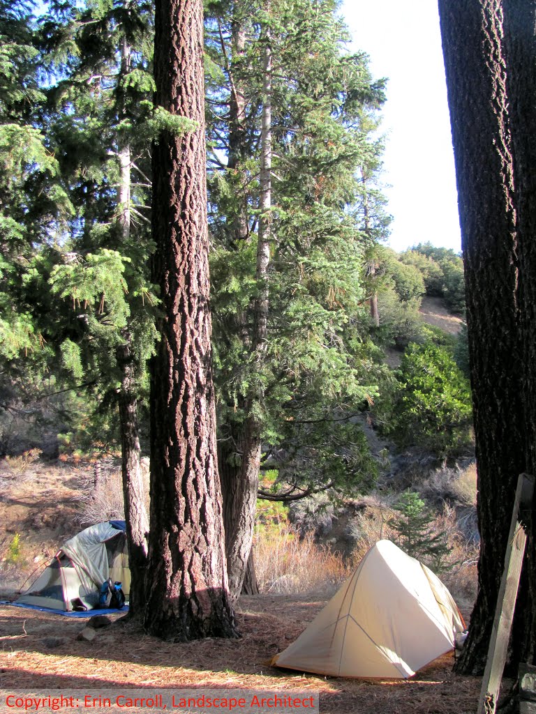 Three Mile Campground