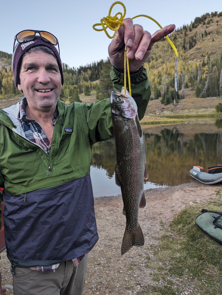Hahns Peak Lake Picnic Site