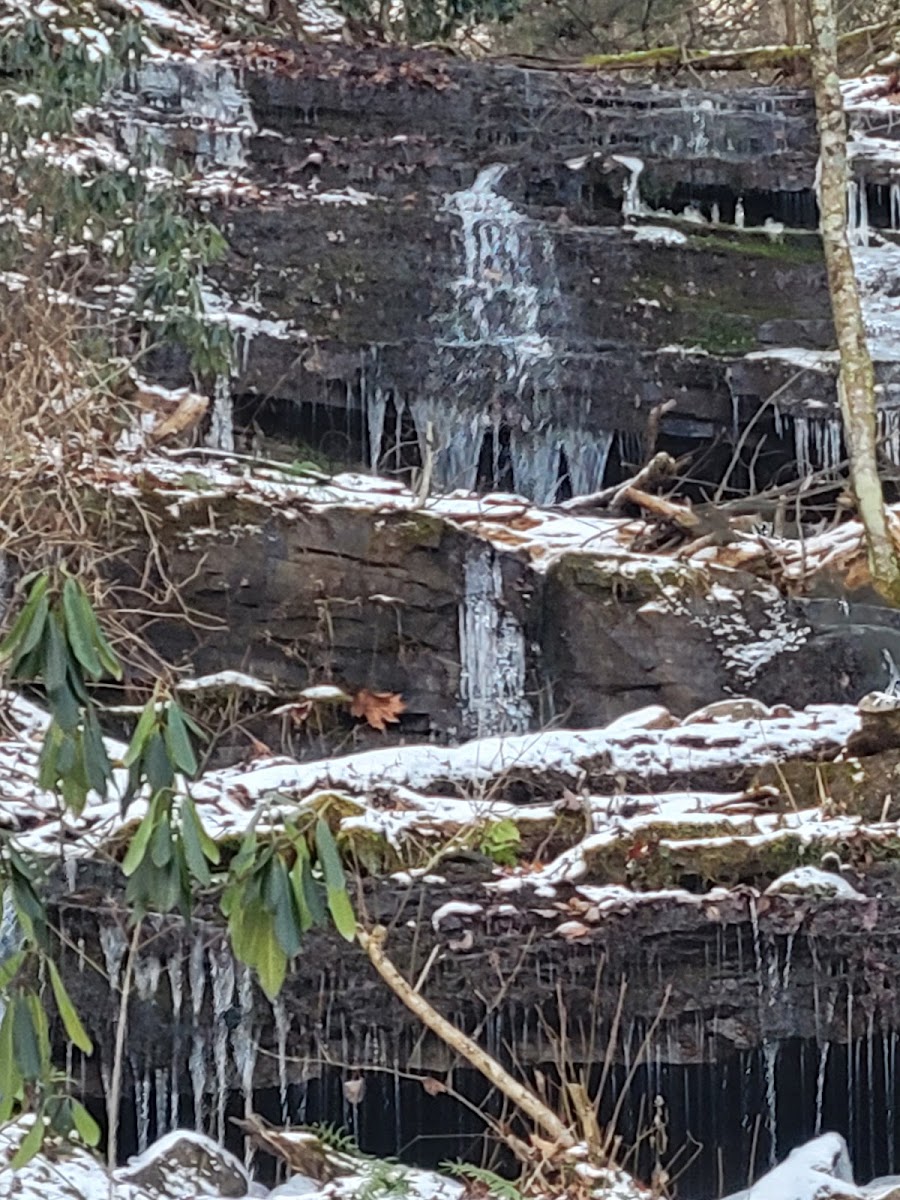 Brooklyn Heights Riverfront Campground