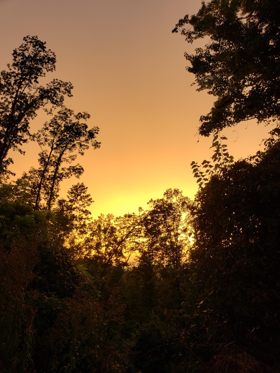 Black Oak Mobile Home-RV Park