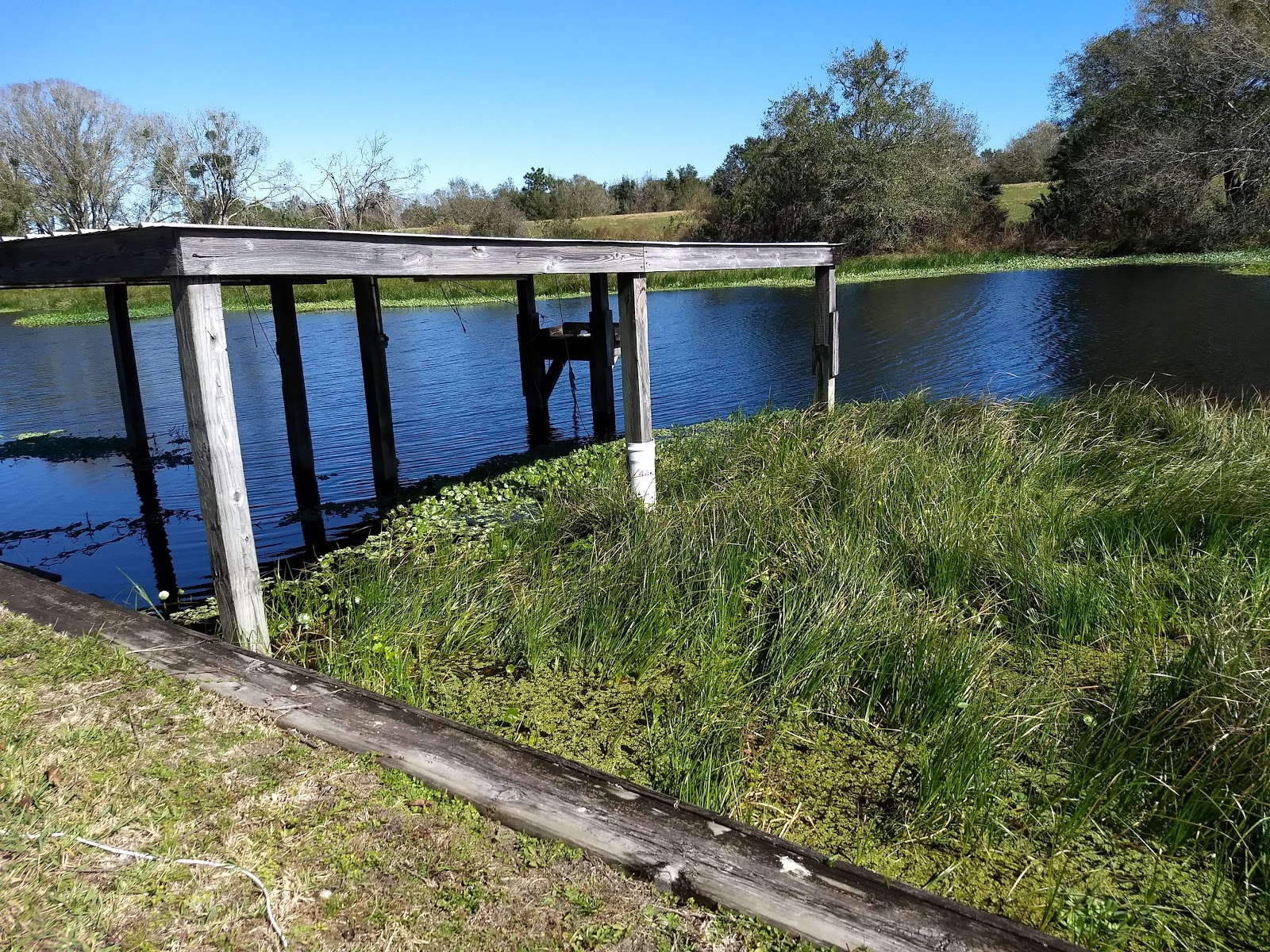 Taylor Creek Reservoir Fish Camp