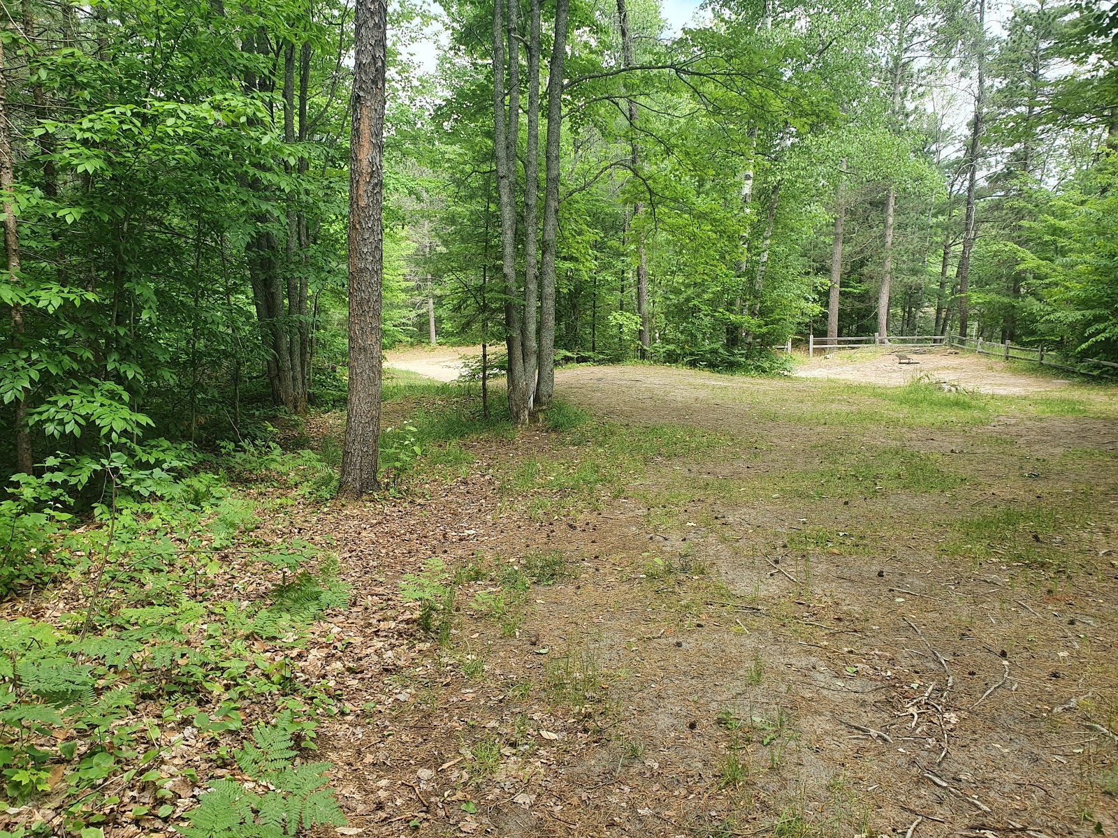 Swan Lake Campsite 1 and Boat Ramp