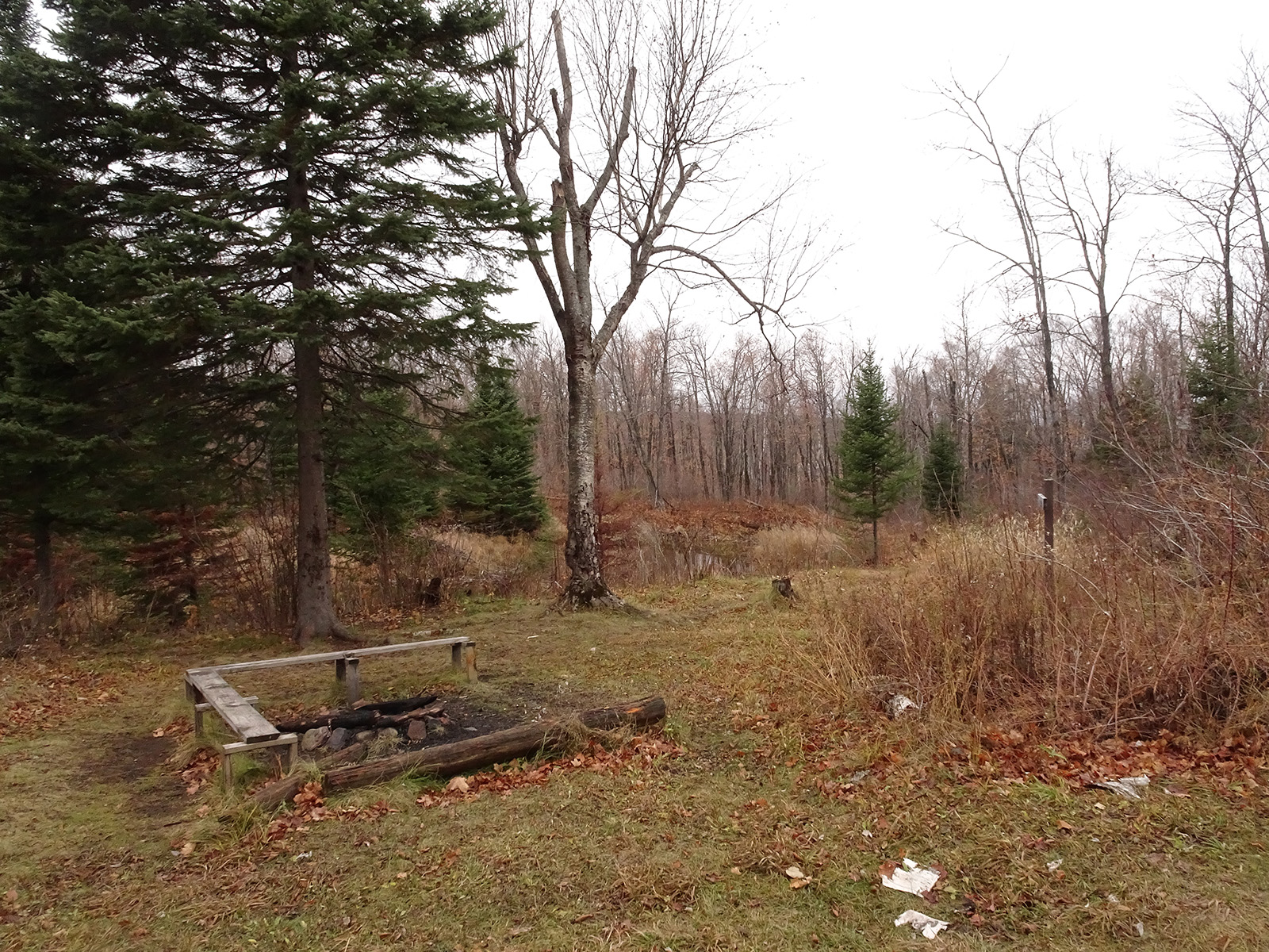 Round Mountain Beaver Pond Camp