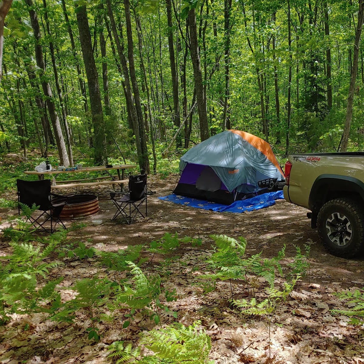 Forestville Campground