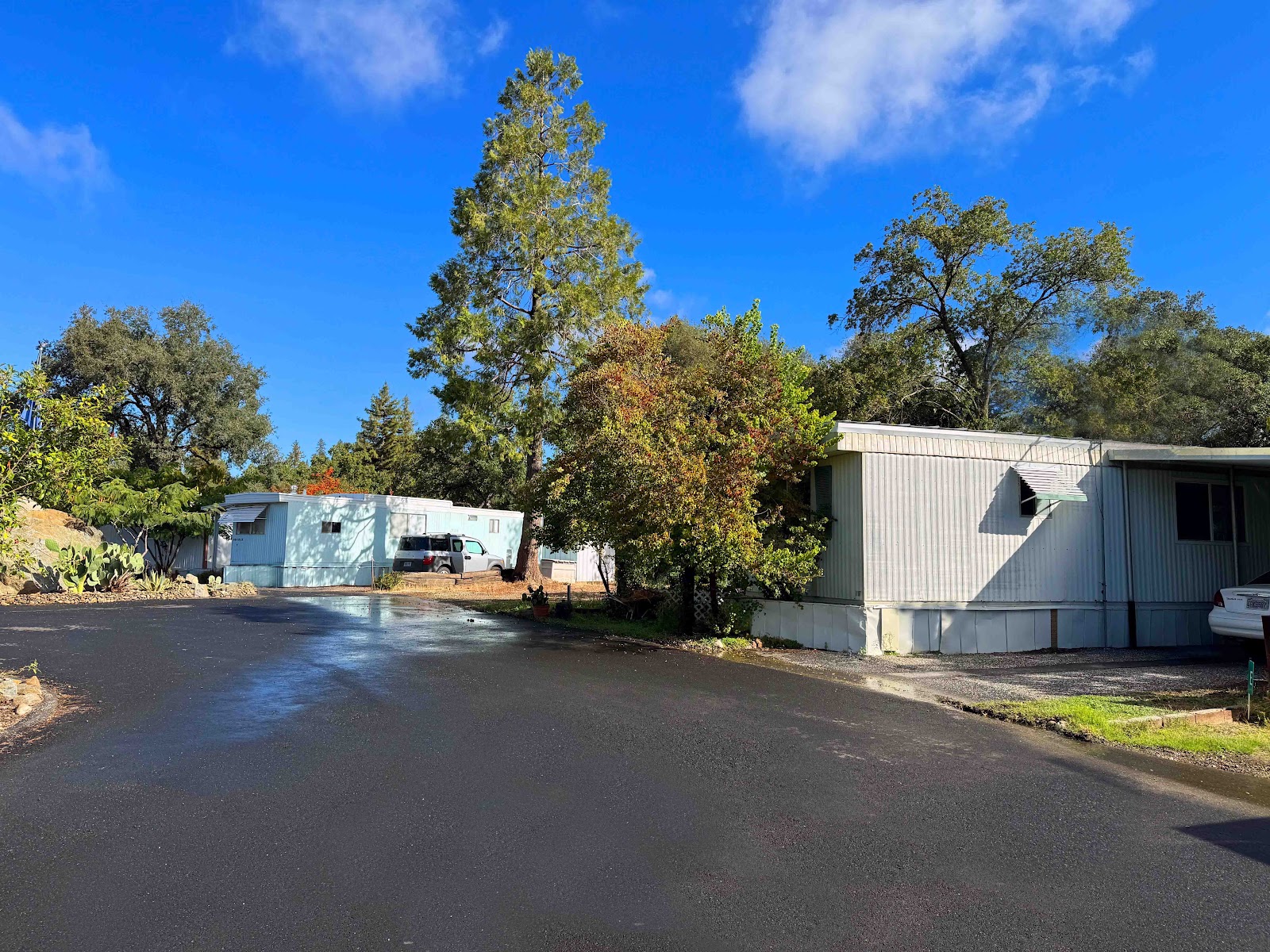 Rough and Ready Village