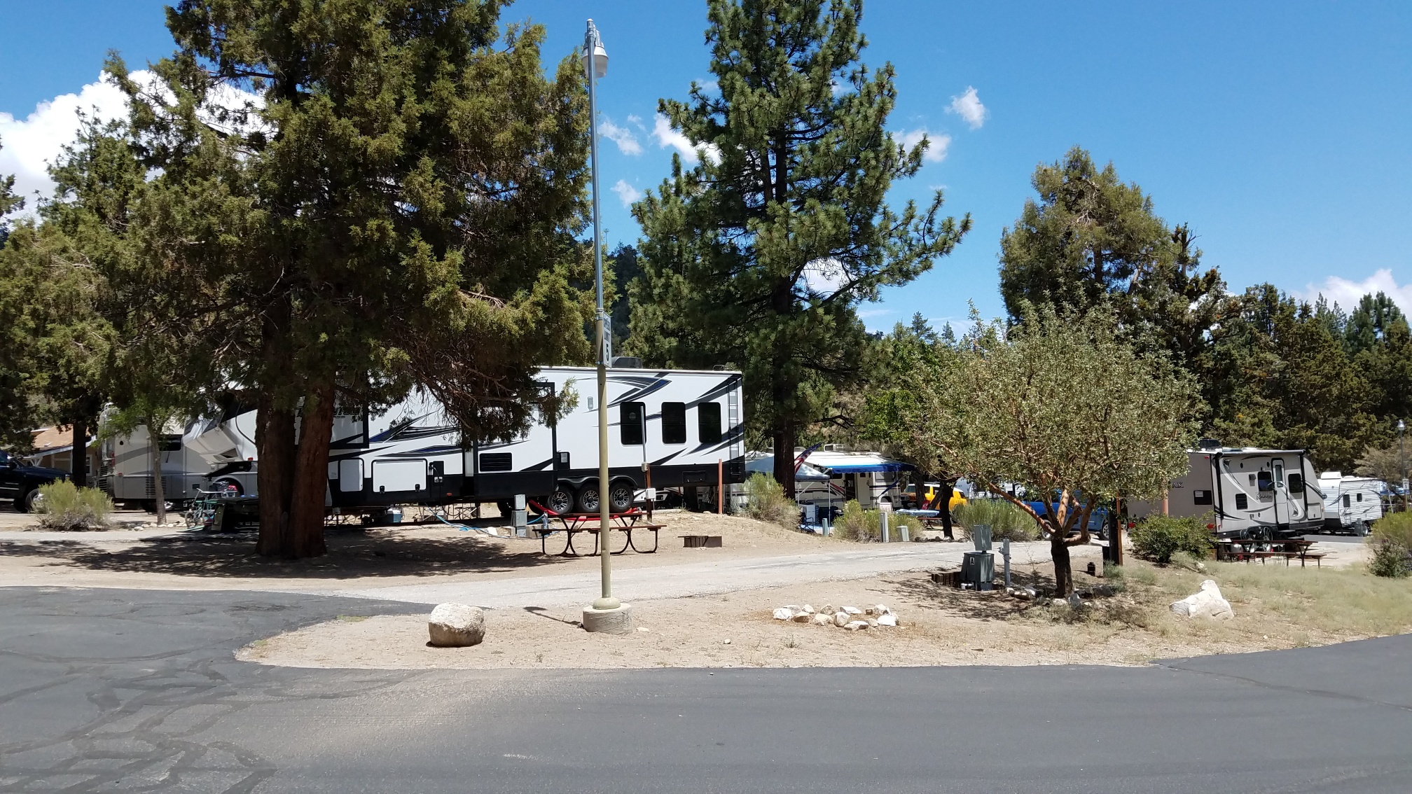 Pine Tree RV & Mobile Home Park