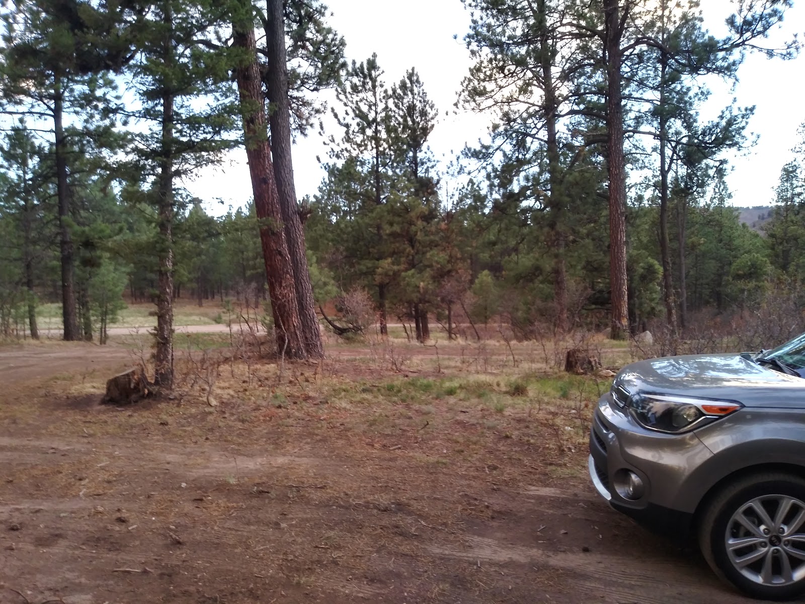 Davis - Willow Dispersed Campground