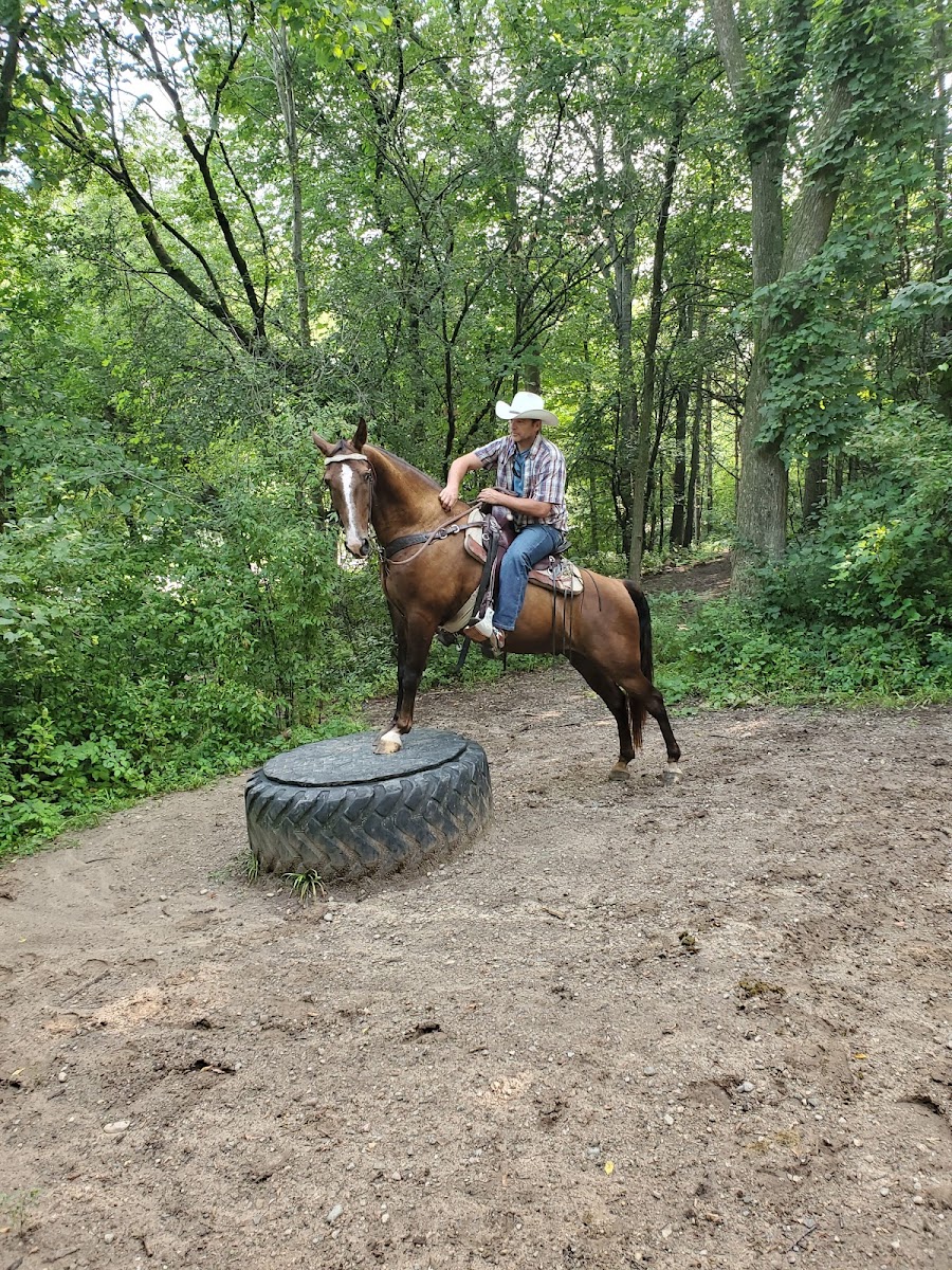 Ionia Equestrian-Rustic