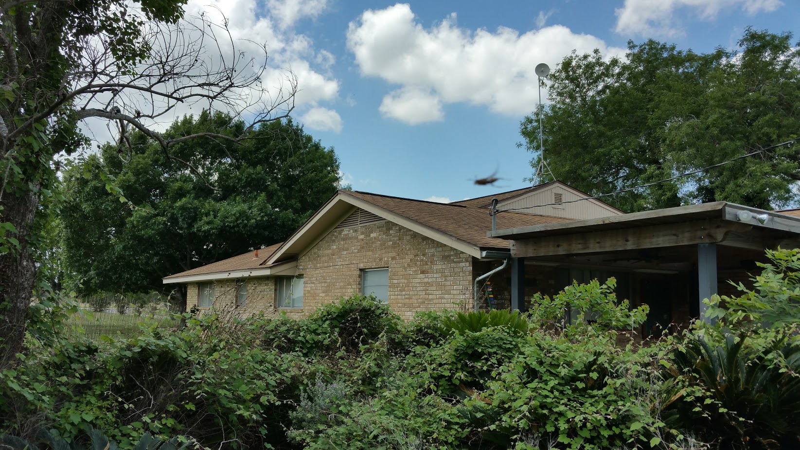 Everfree Shire Ranch