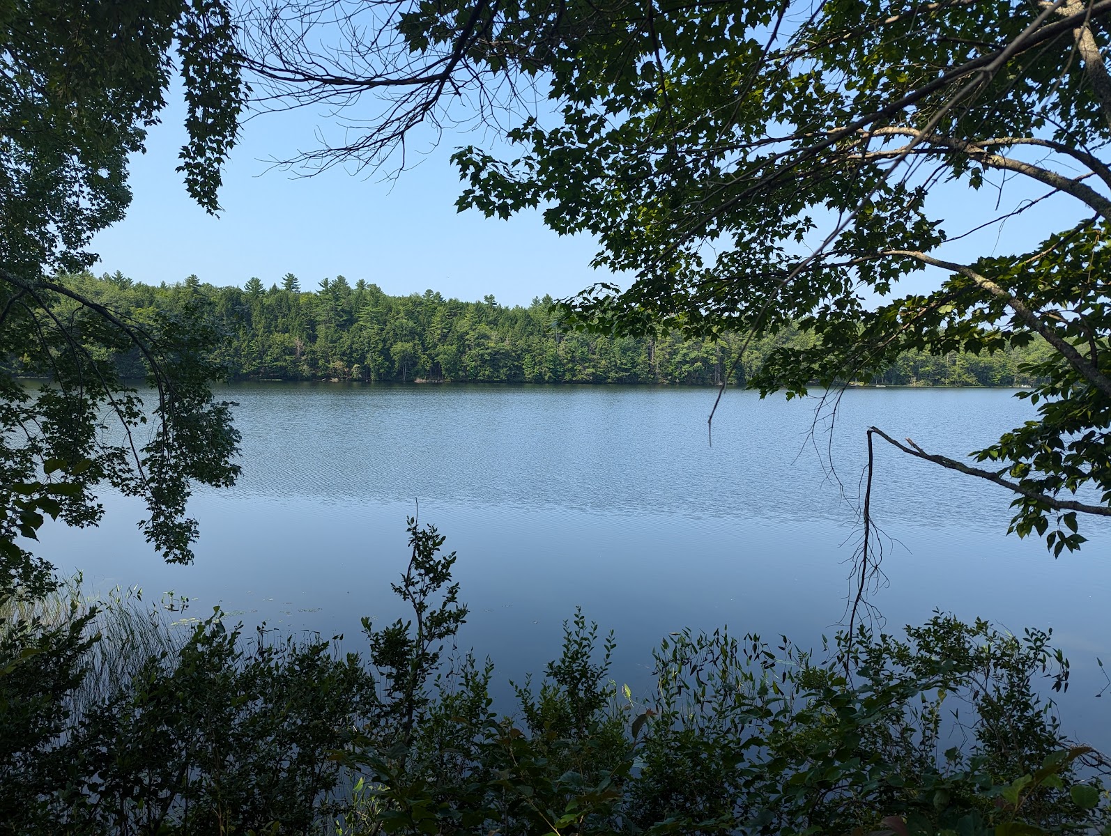 Granger Pond Camping Area