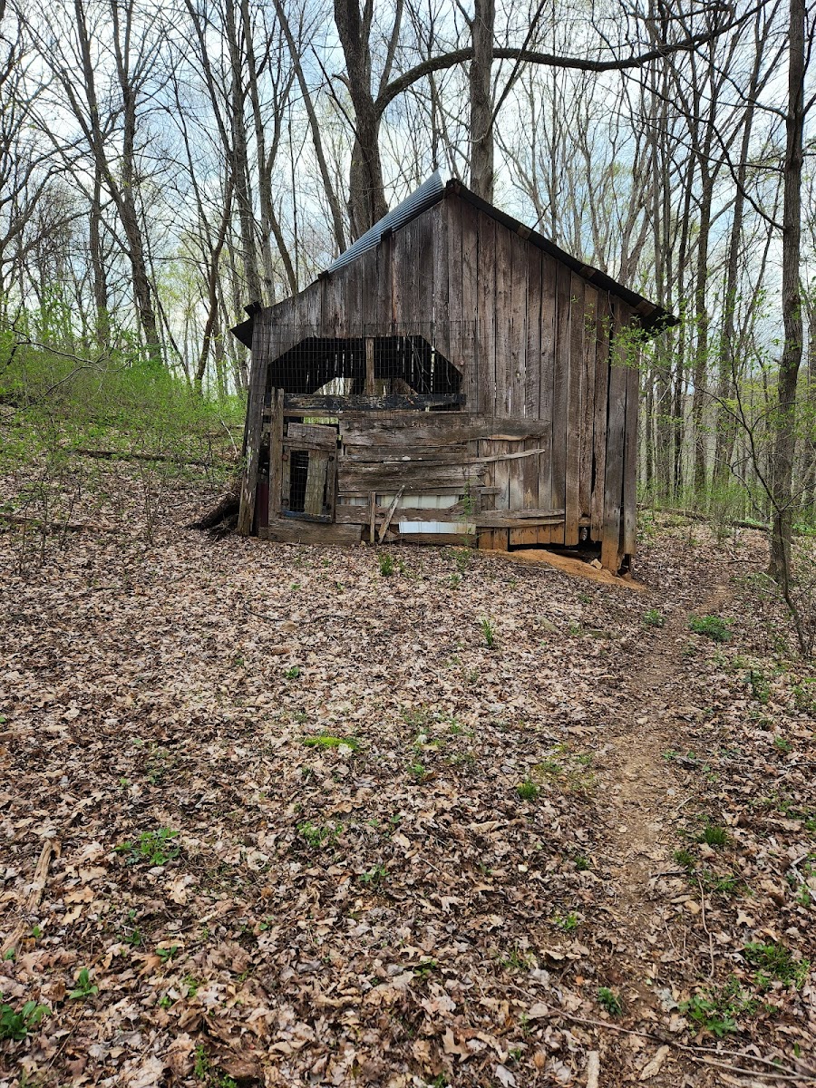 Nettlecarrier Creek Camp