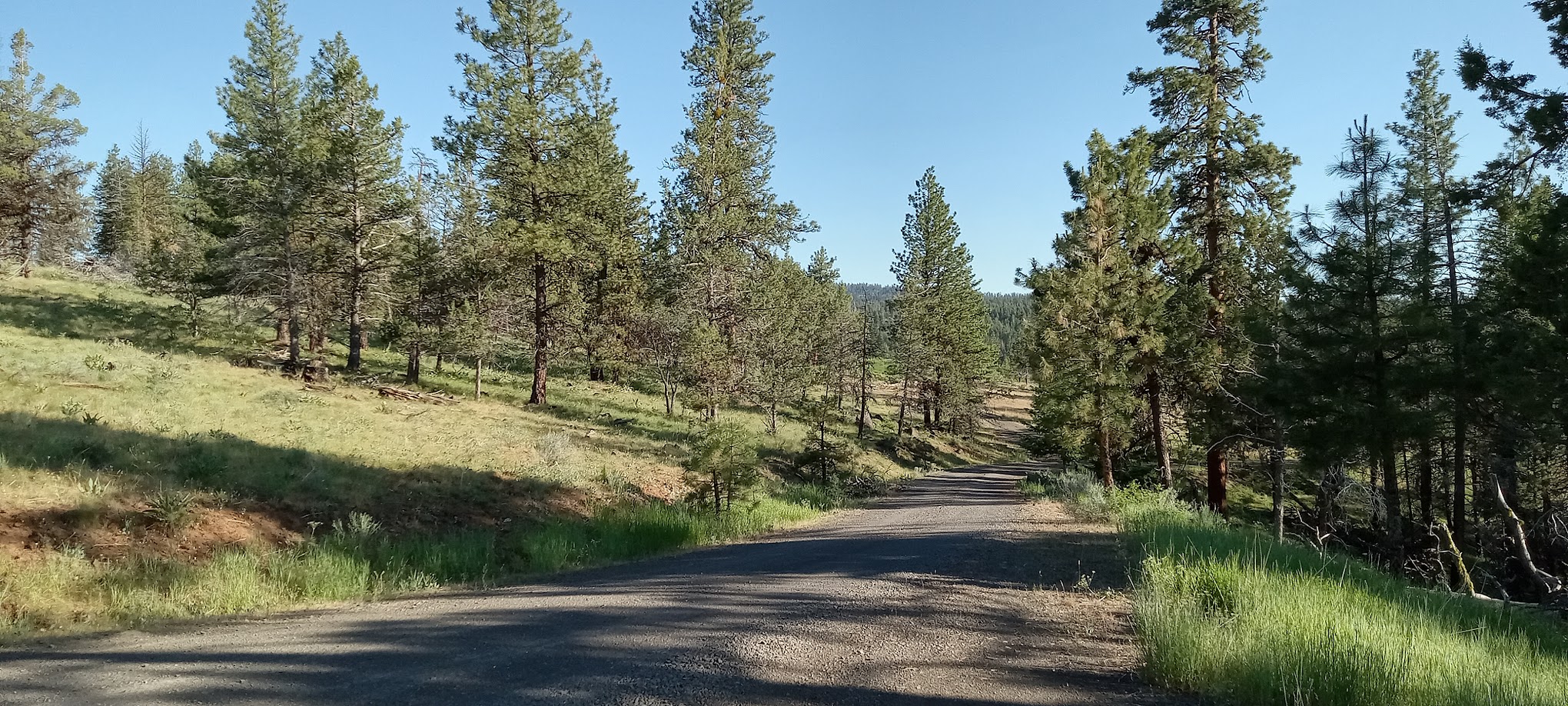 Mud Springs Horse Camp