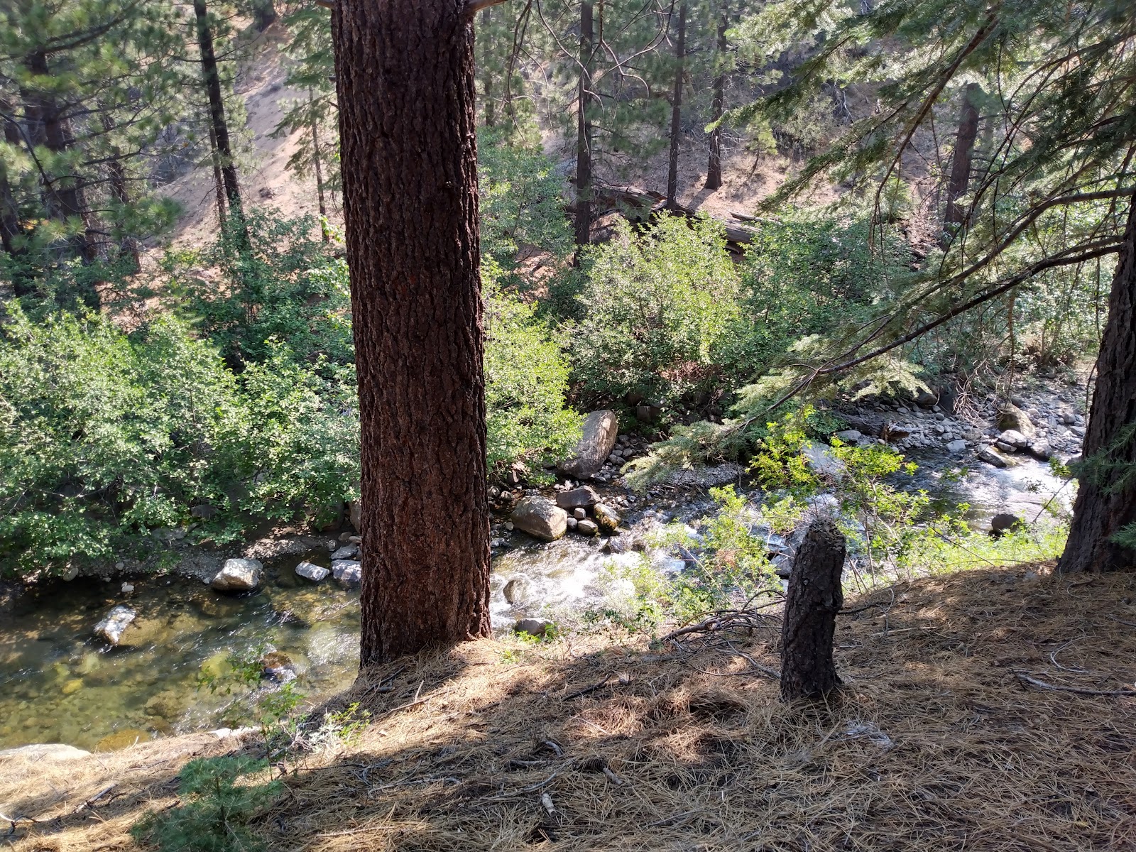 Wolf Creek Campground