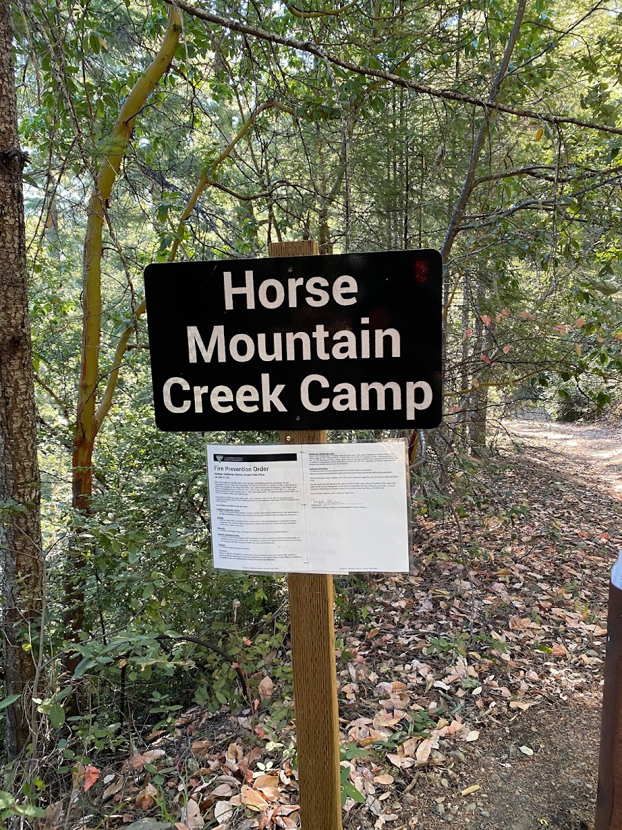 Horse Mountain Creek Camp