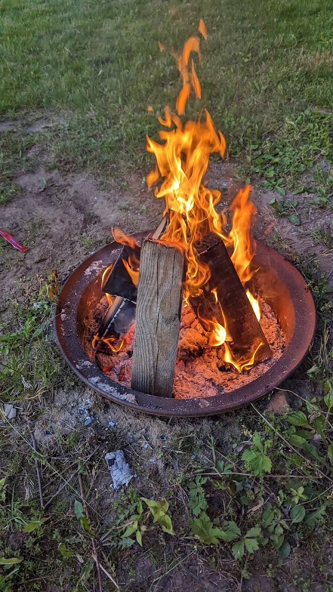 River Raisin Canoe Livery
