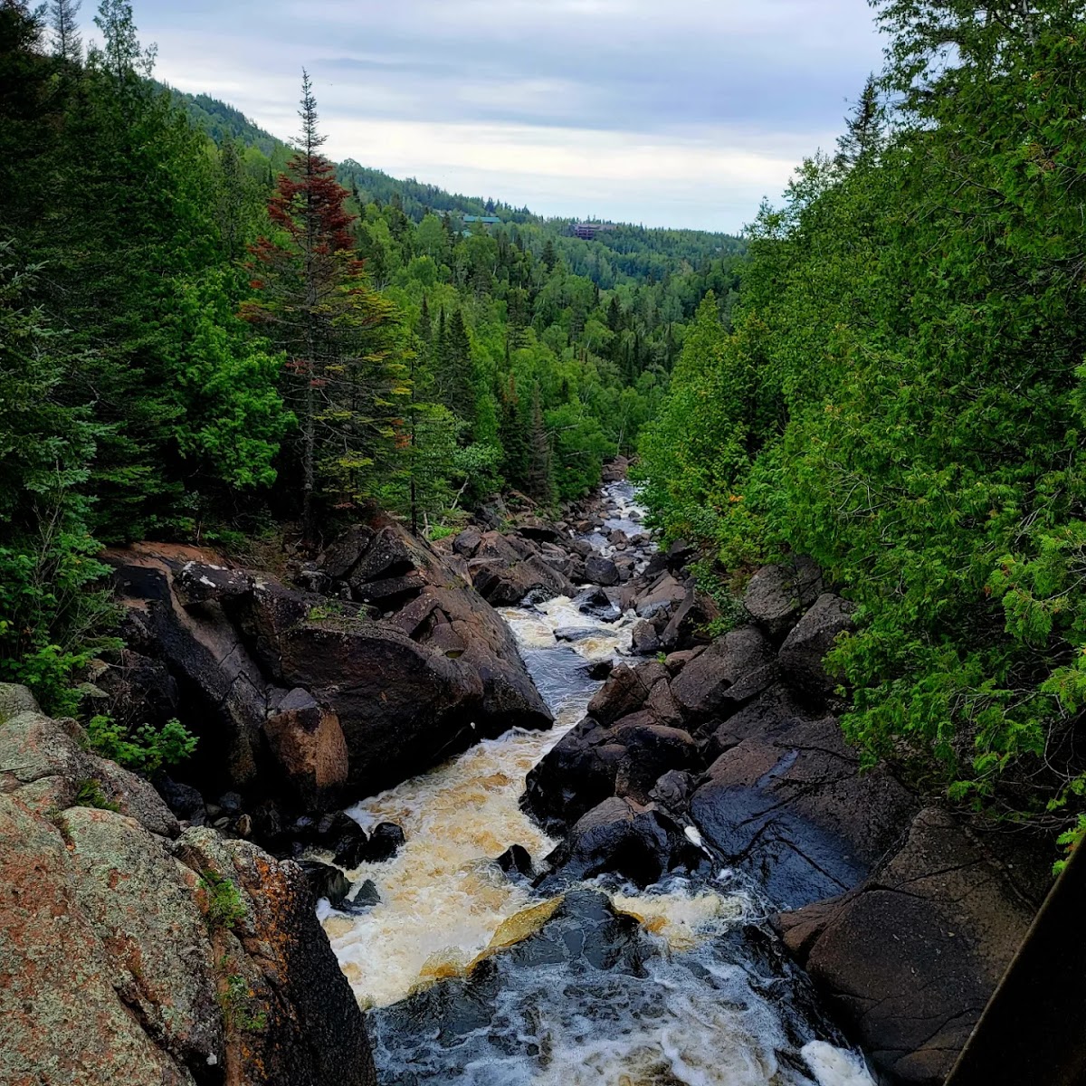 Mystery Mountain Camp