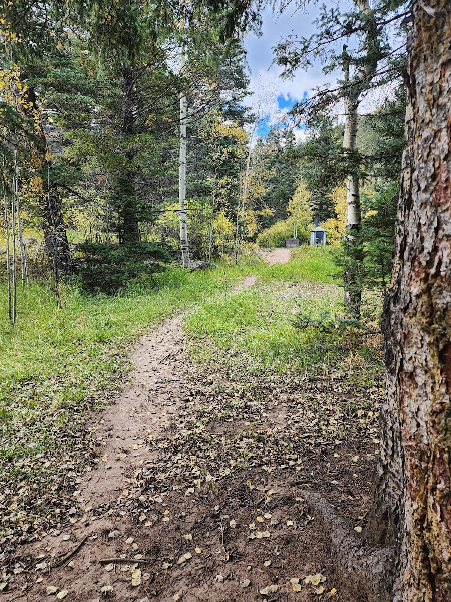 Spruce Group Campsite