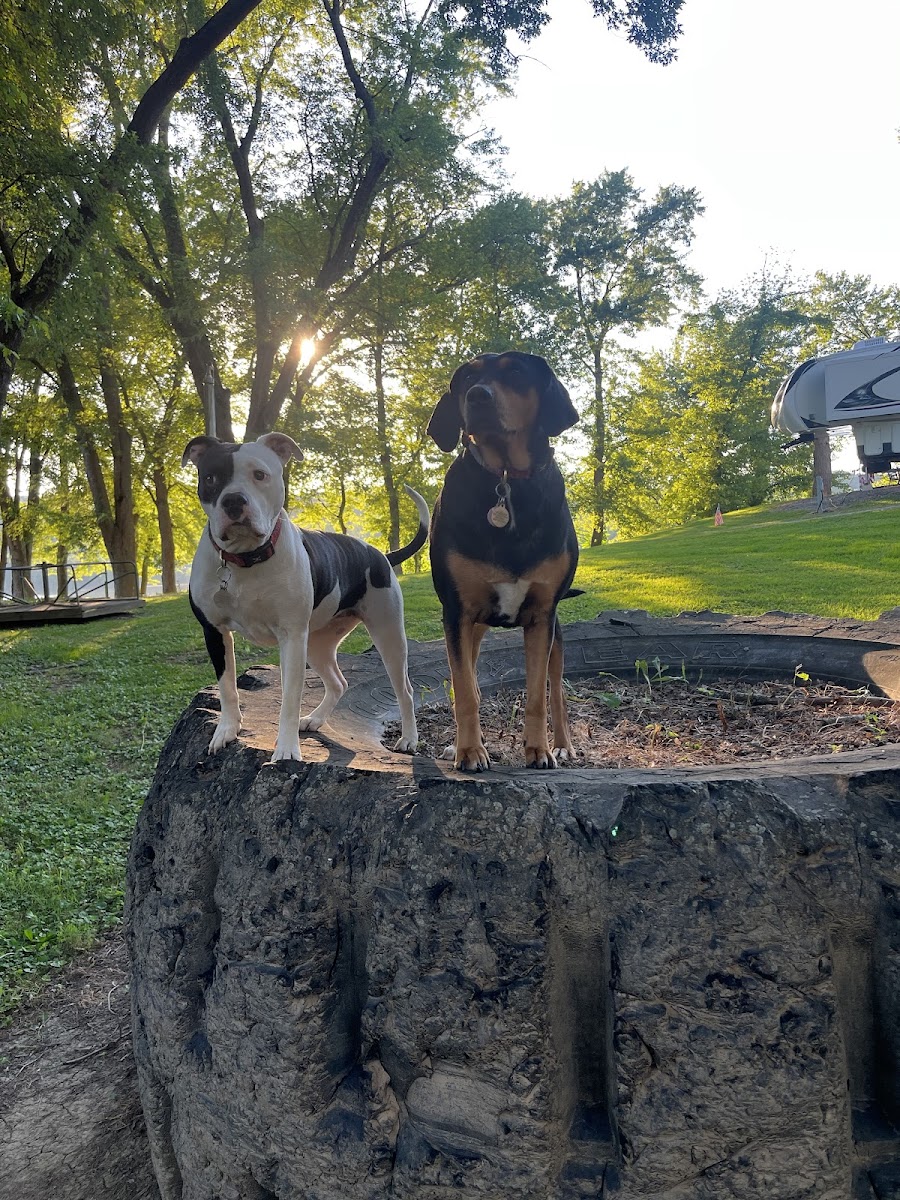 Olde Oak RV Park & Campground