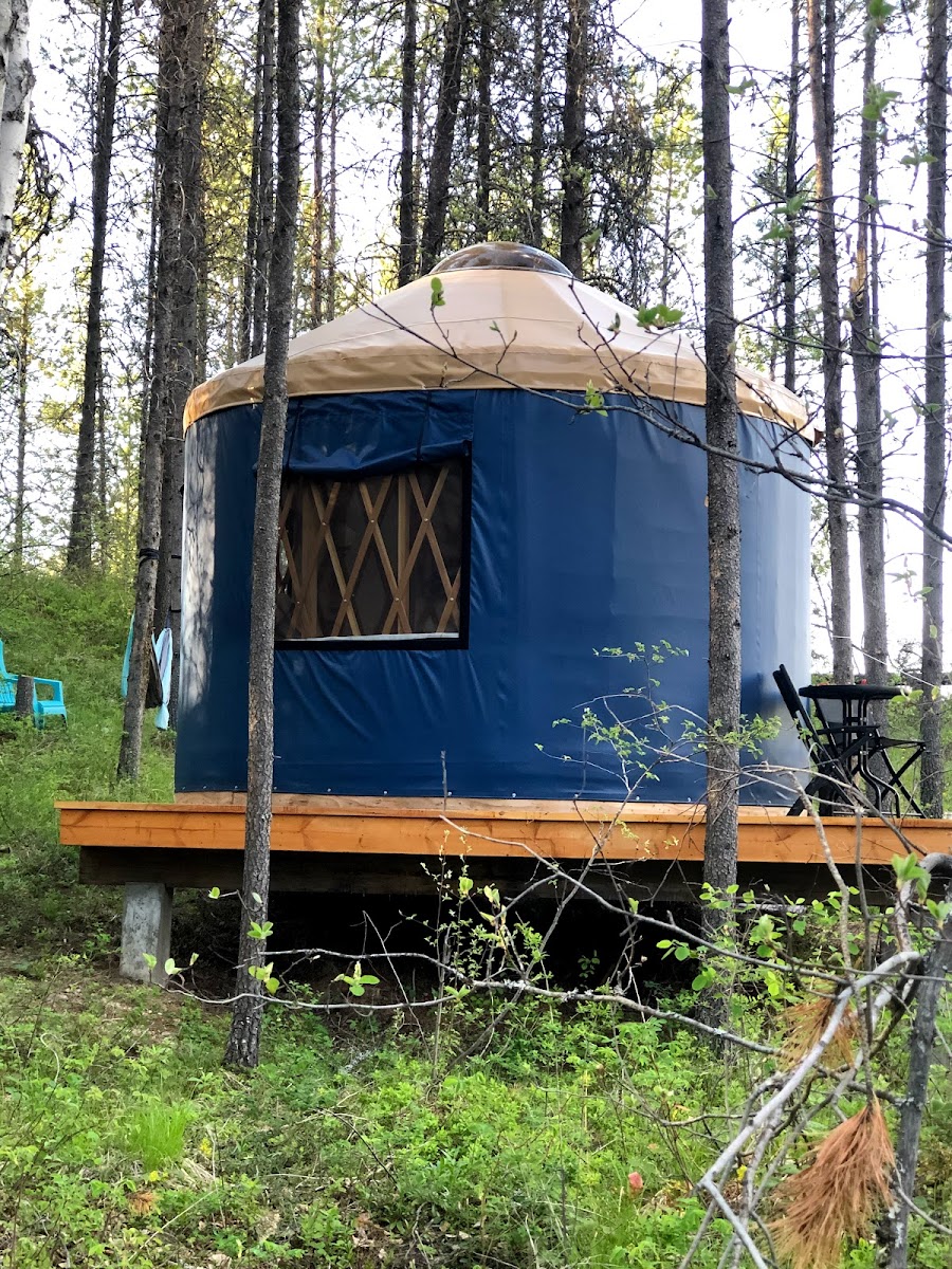 Mooseshroom Yurt Retreat and Campground
