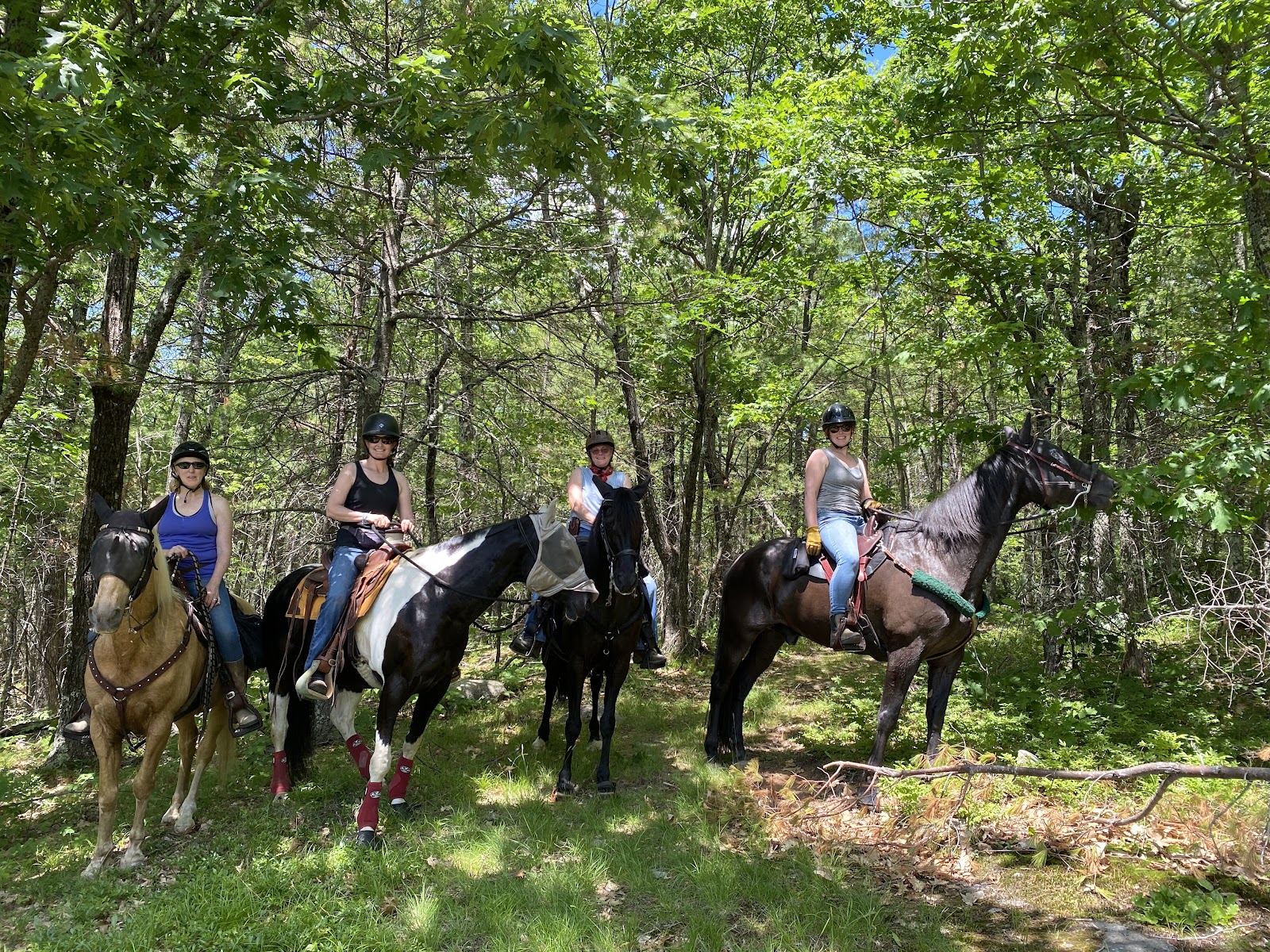 Dude's Ranch Campground