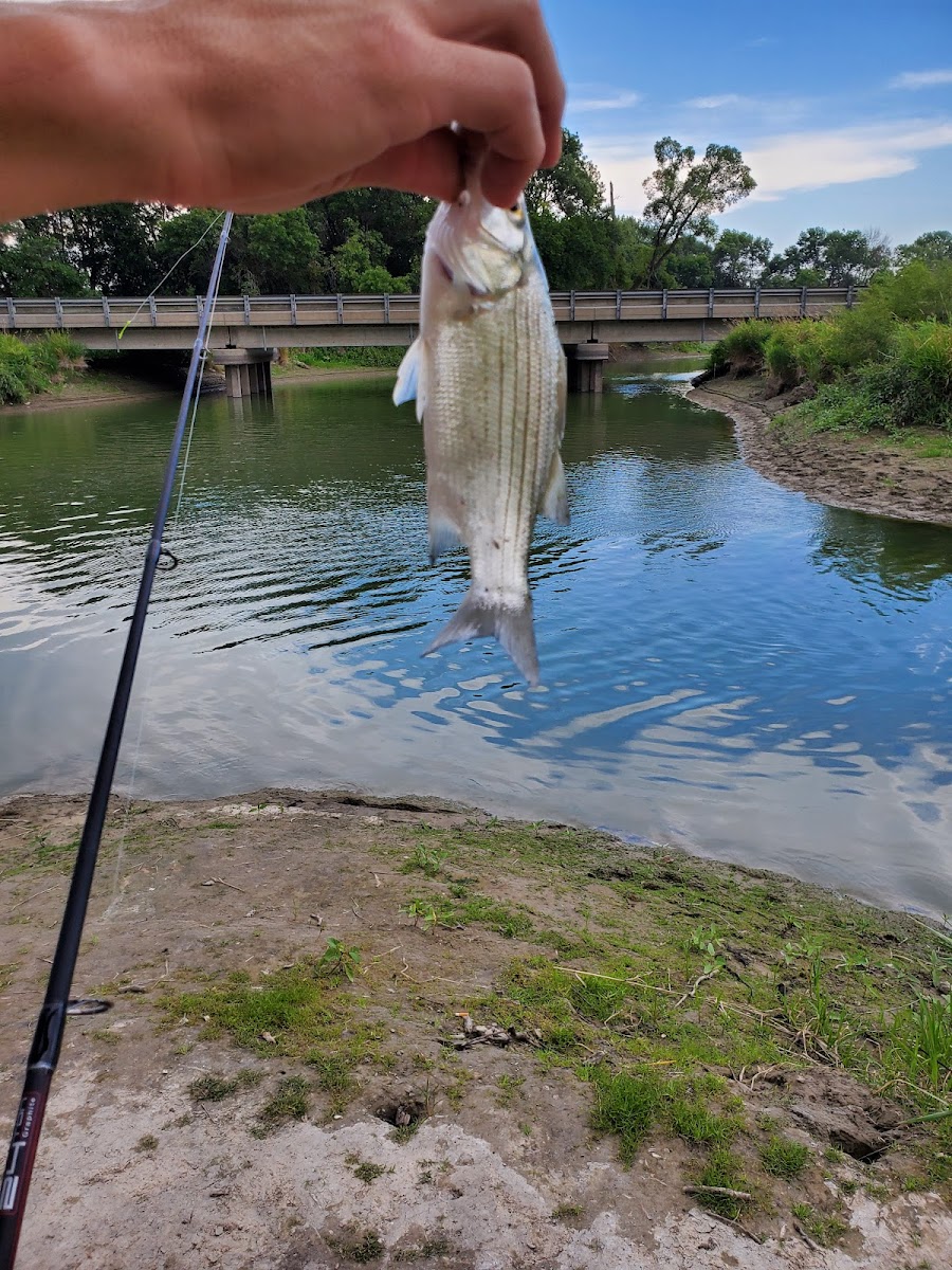 Fishermans Bridge Area Campground