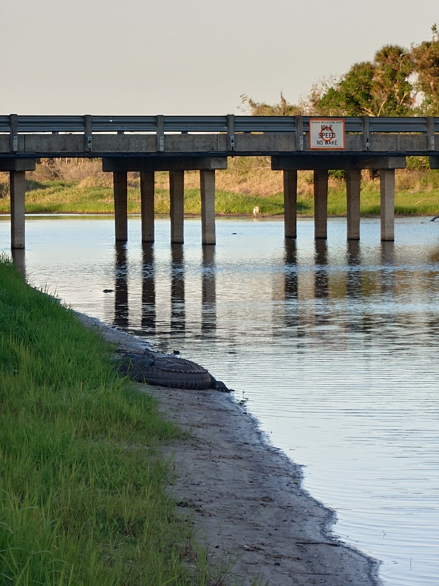 Old Prairie Campground