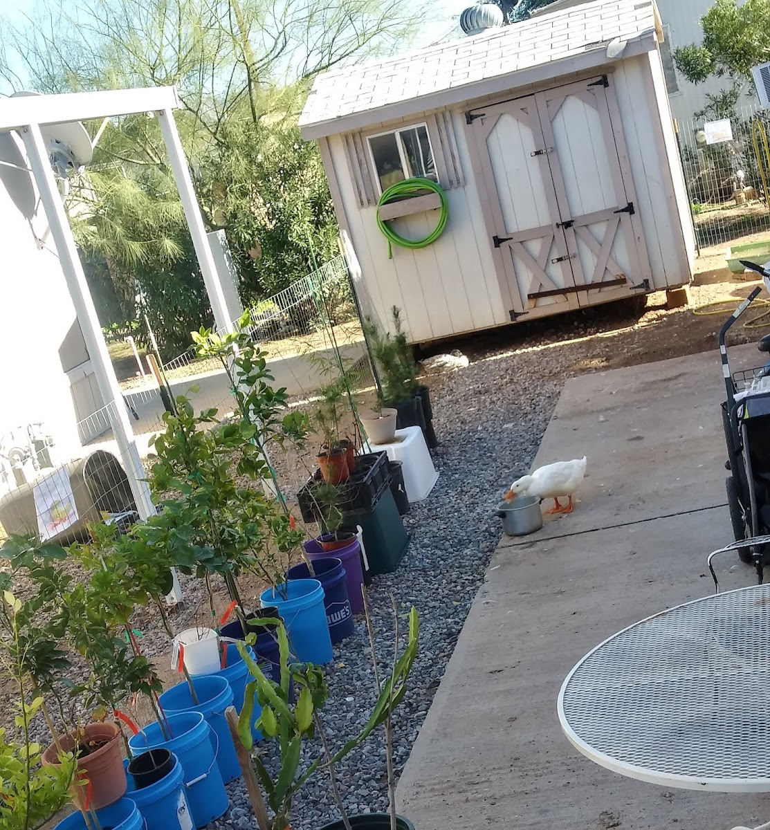 Frontier MHC ( formally Eloy Mobile Home Park )