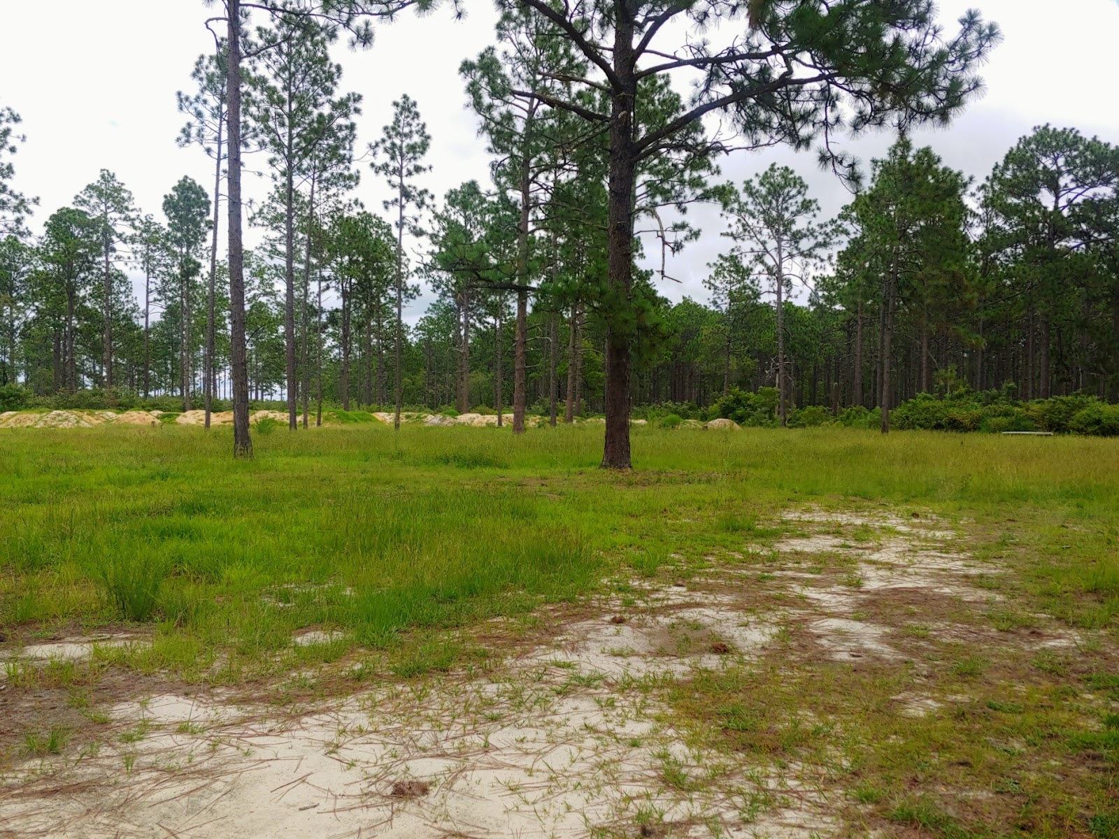 Sandhills campground b