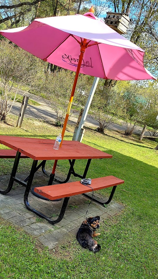 Rochester / Marion KOA Journey