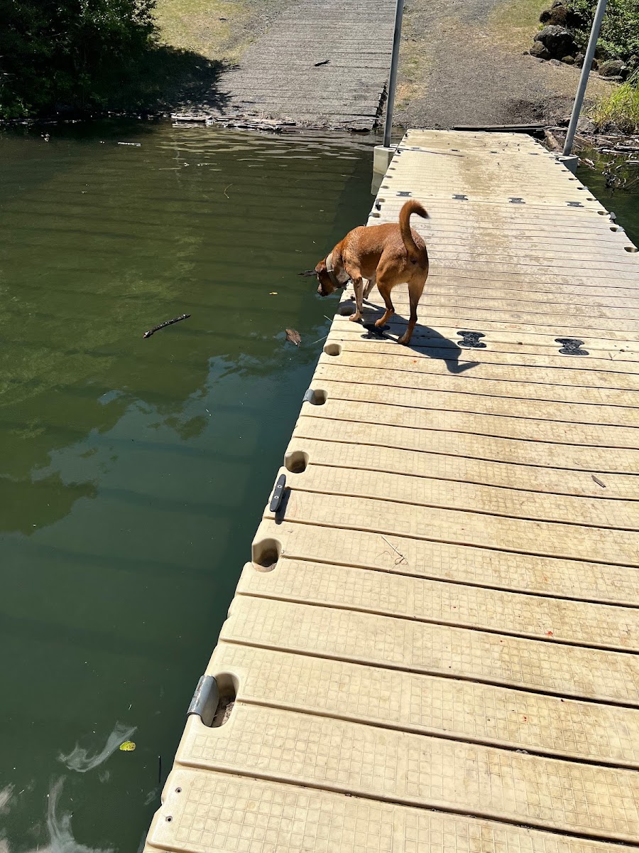 Canyon Creek Campground