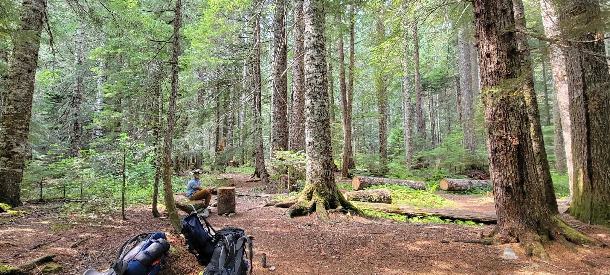 U.S. Cabin Campground