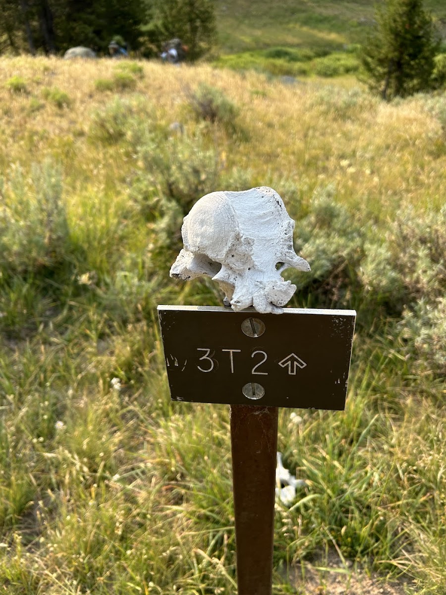 Mist Creek Meadows 3T2