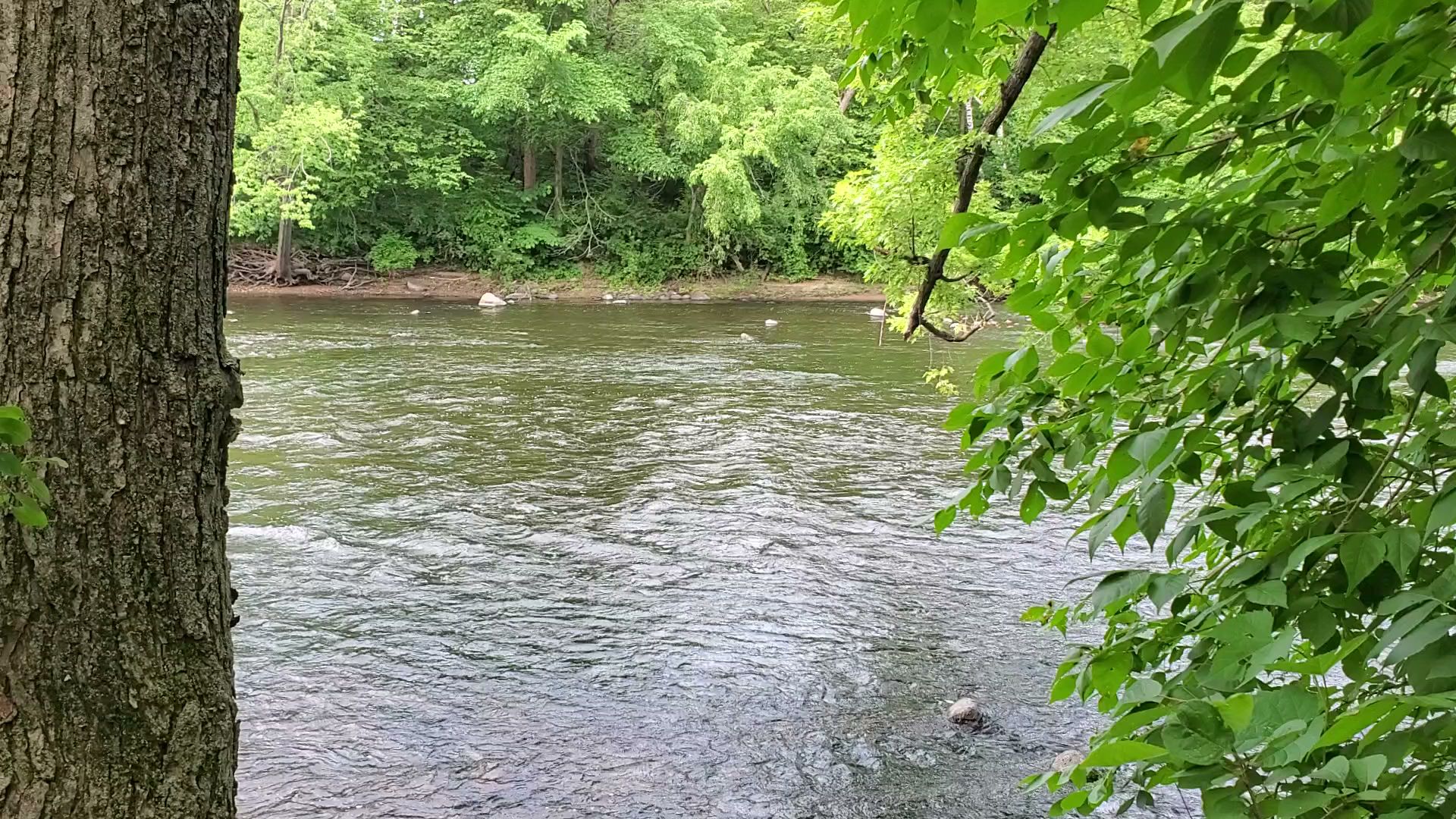 Rum River North Watercraft Campsite