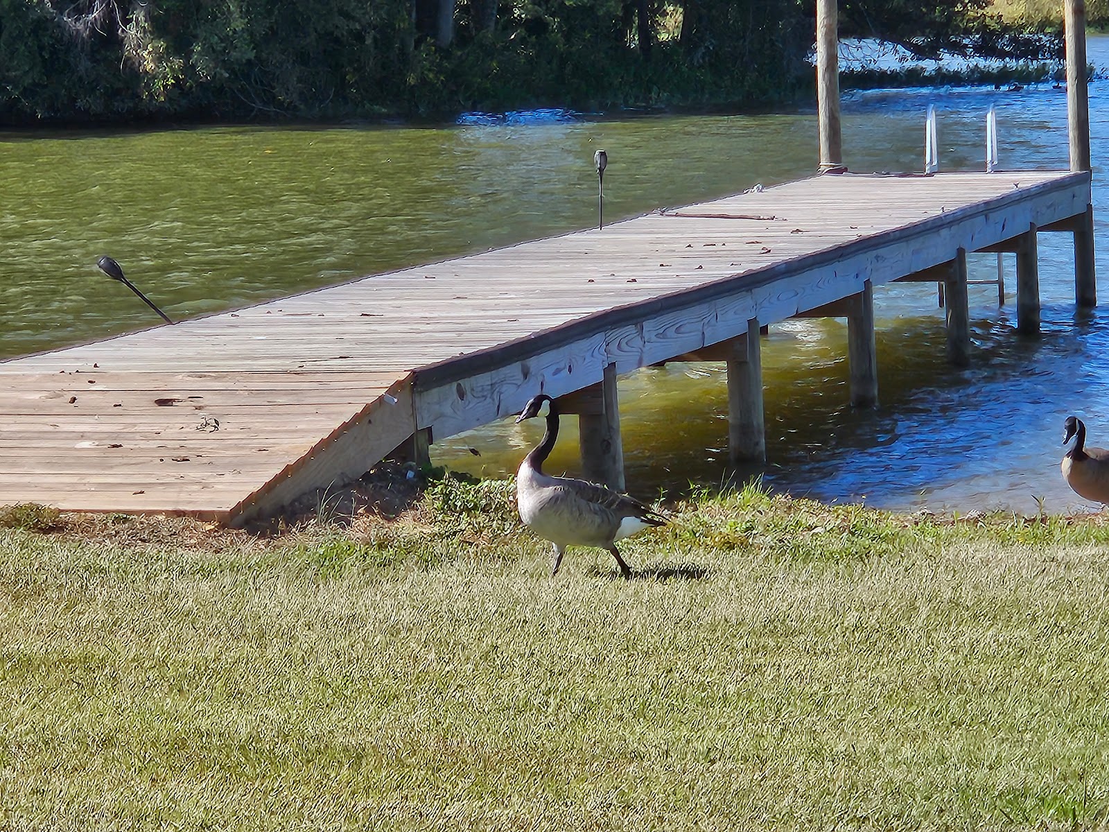 Logan Martin Lake RV Resort