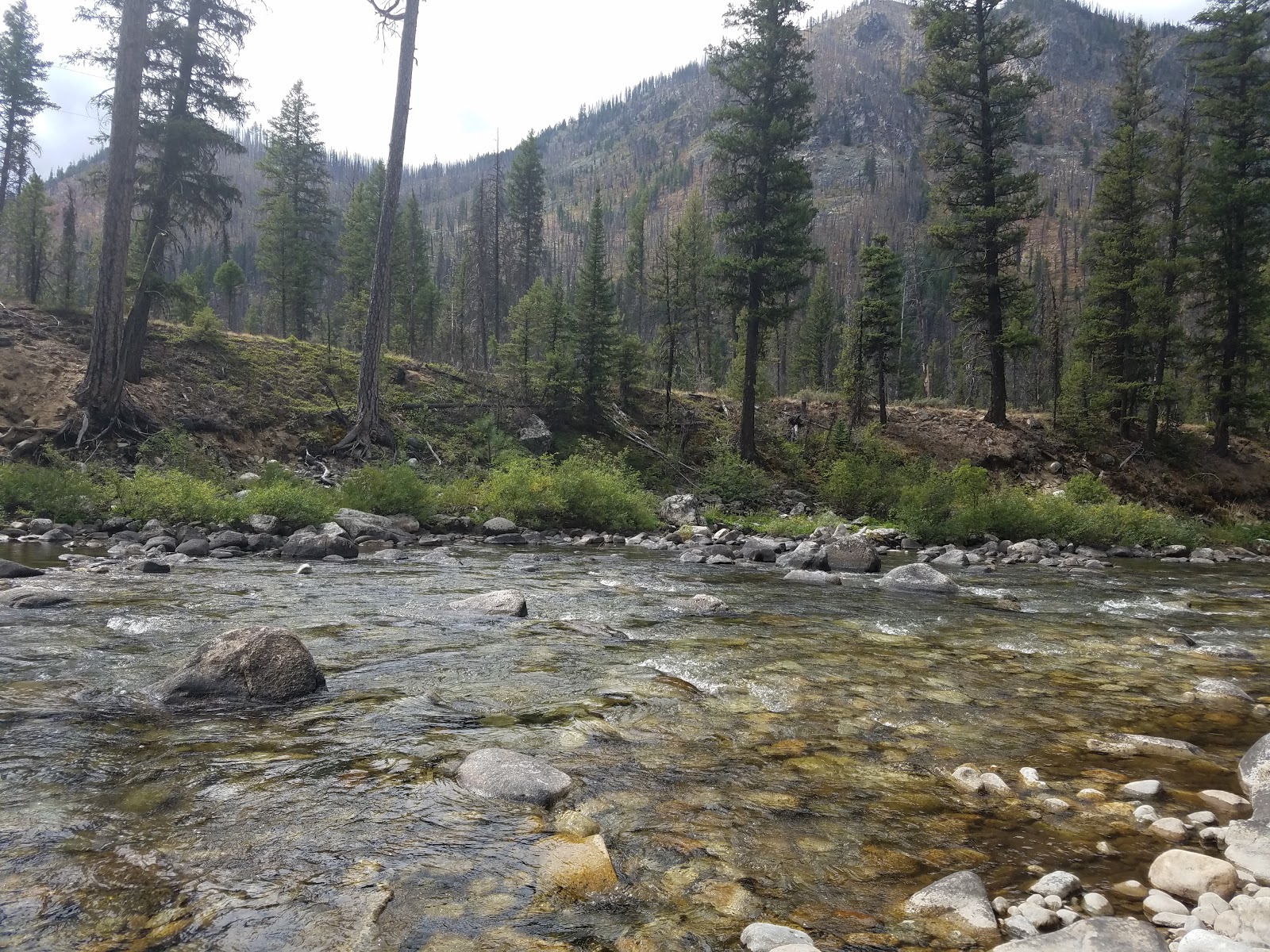 Golden Gate Campground