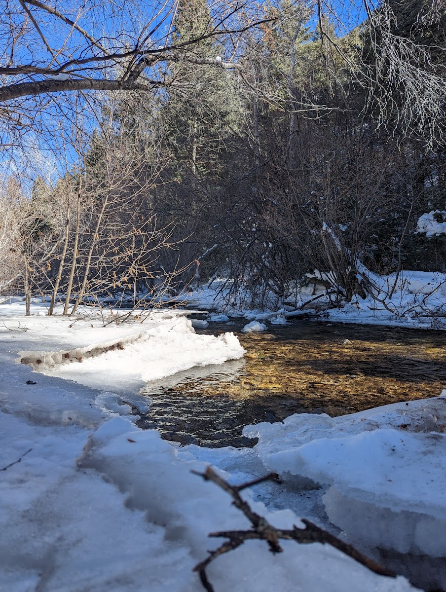 Lower Hondo Campground