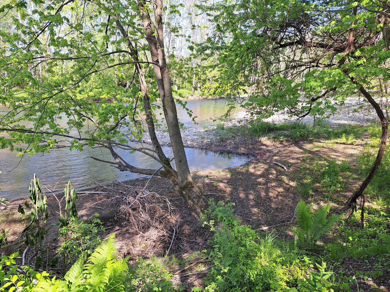 Bending River Estates