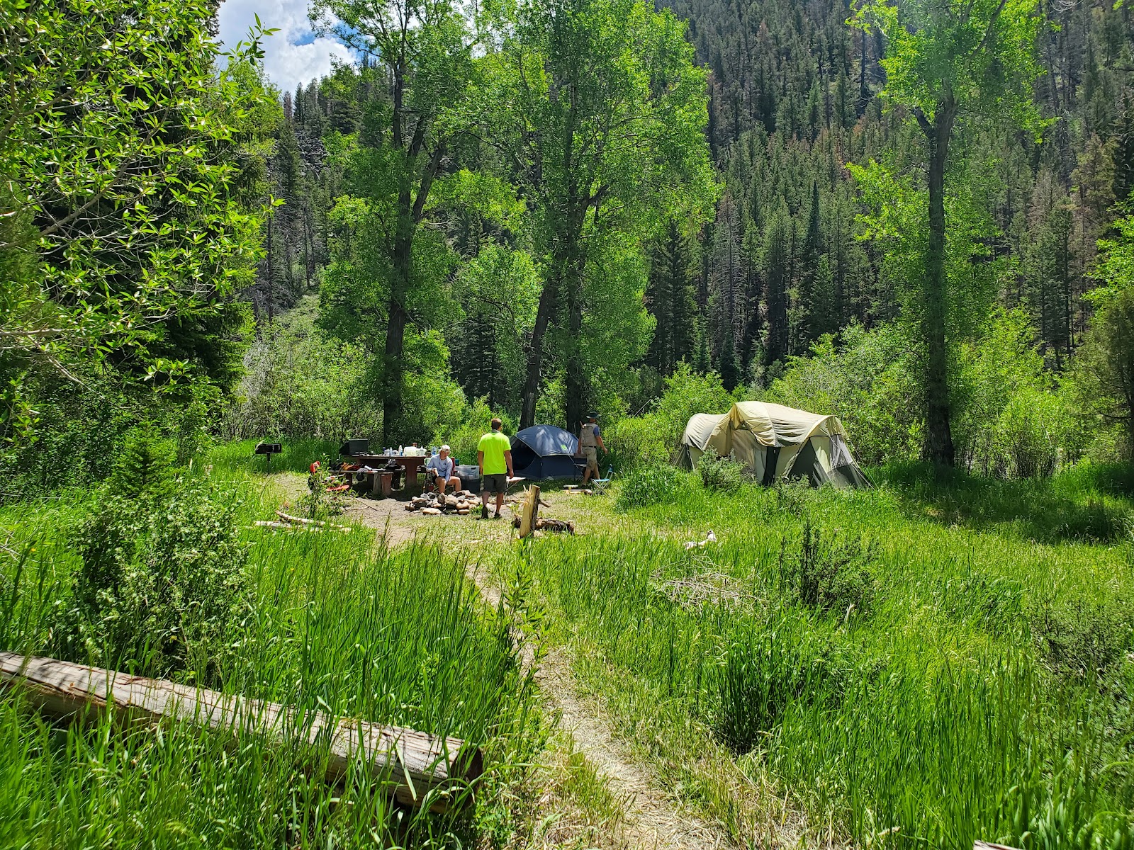 Pickaroon Campground