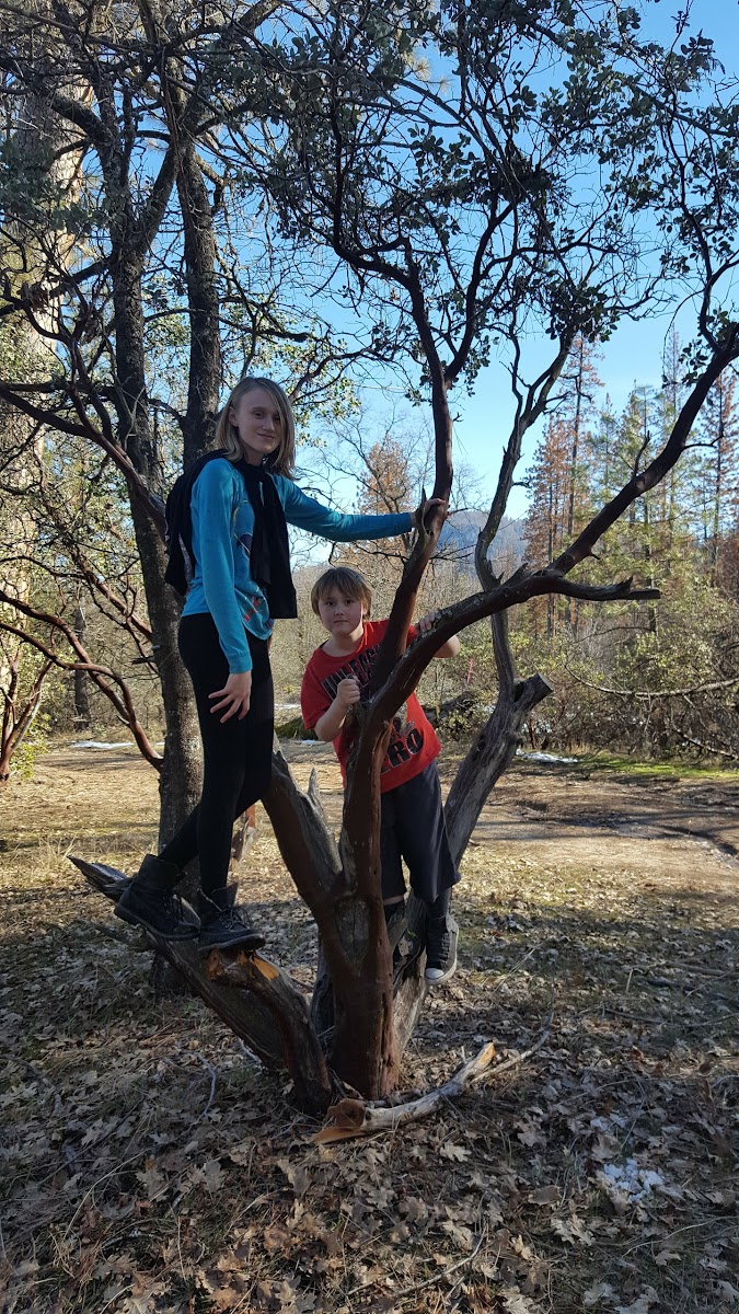 Crane Valley Group Campground