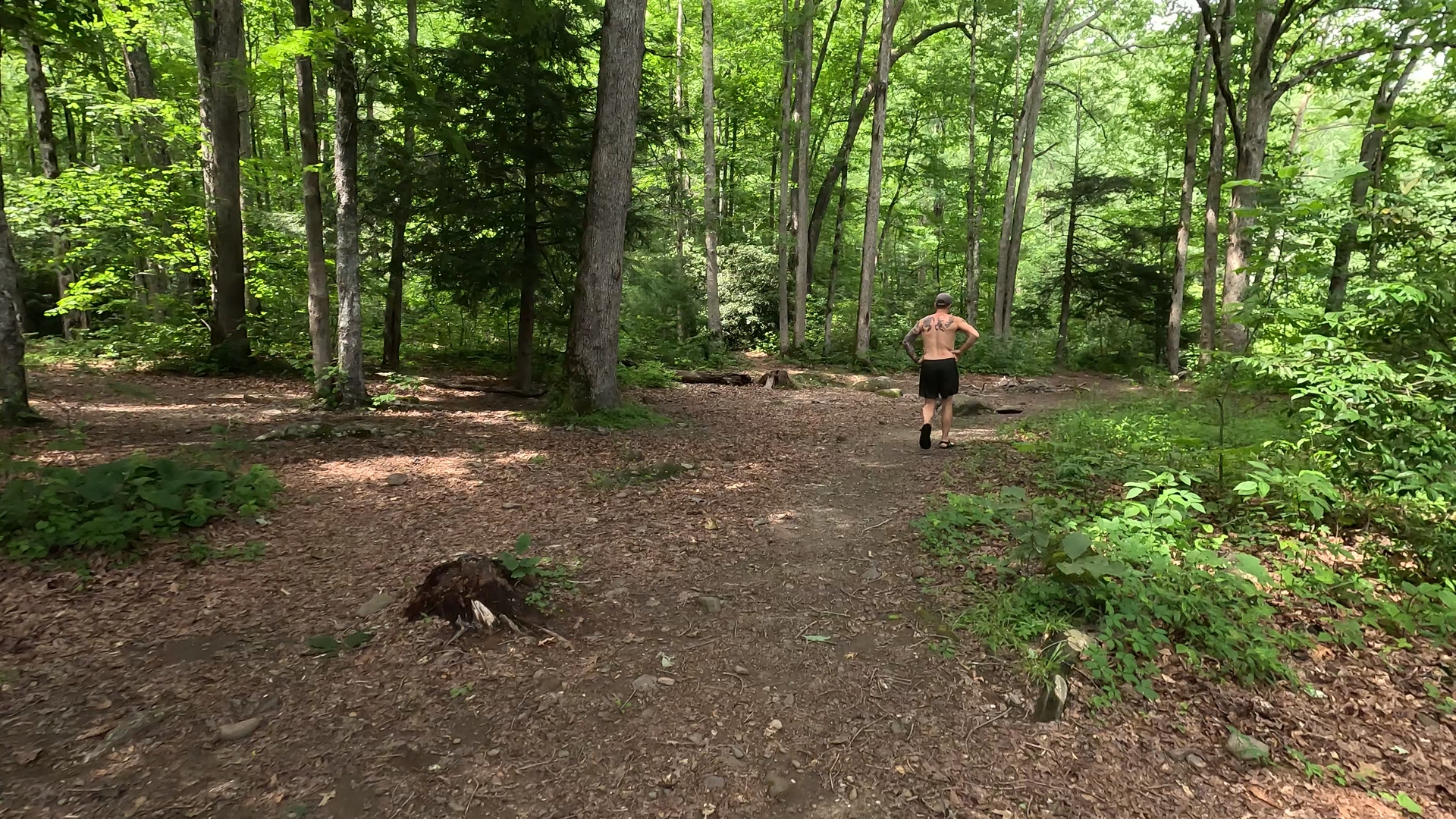 Backcountry Campsite #90