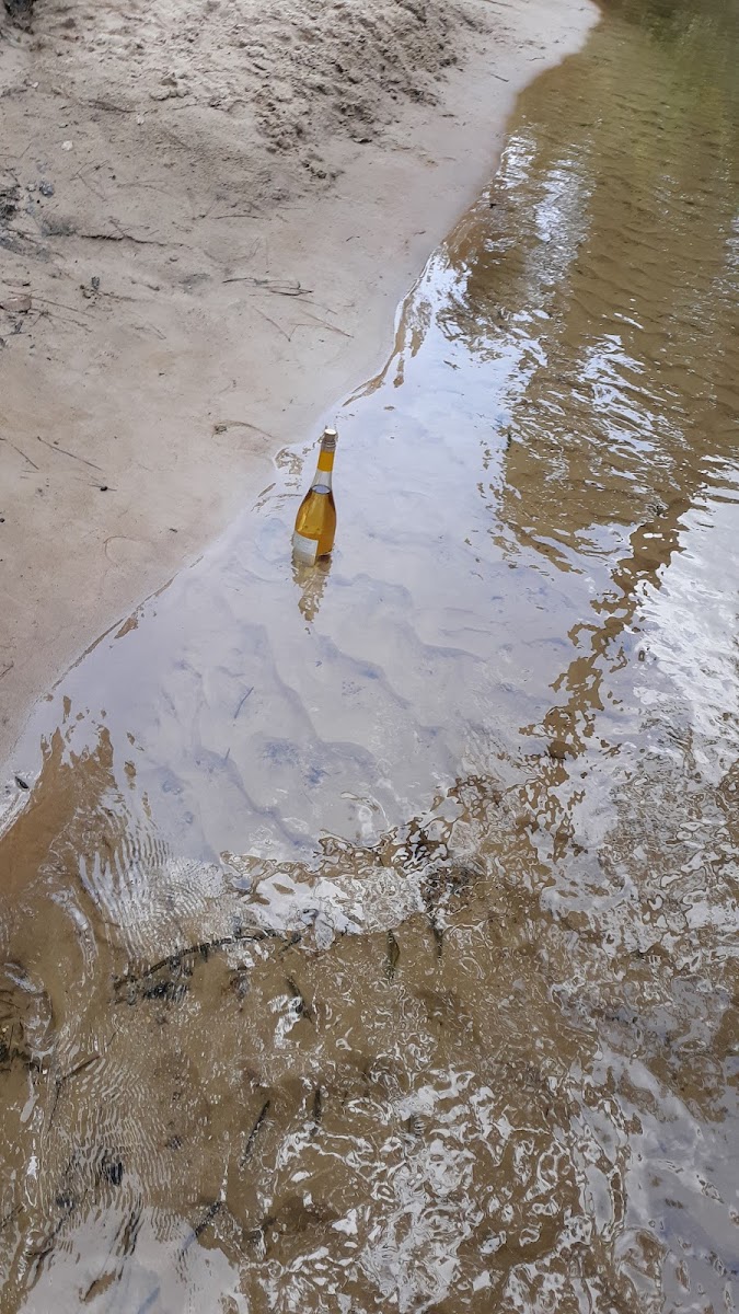 Clear Creek Campground