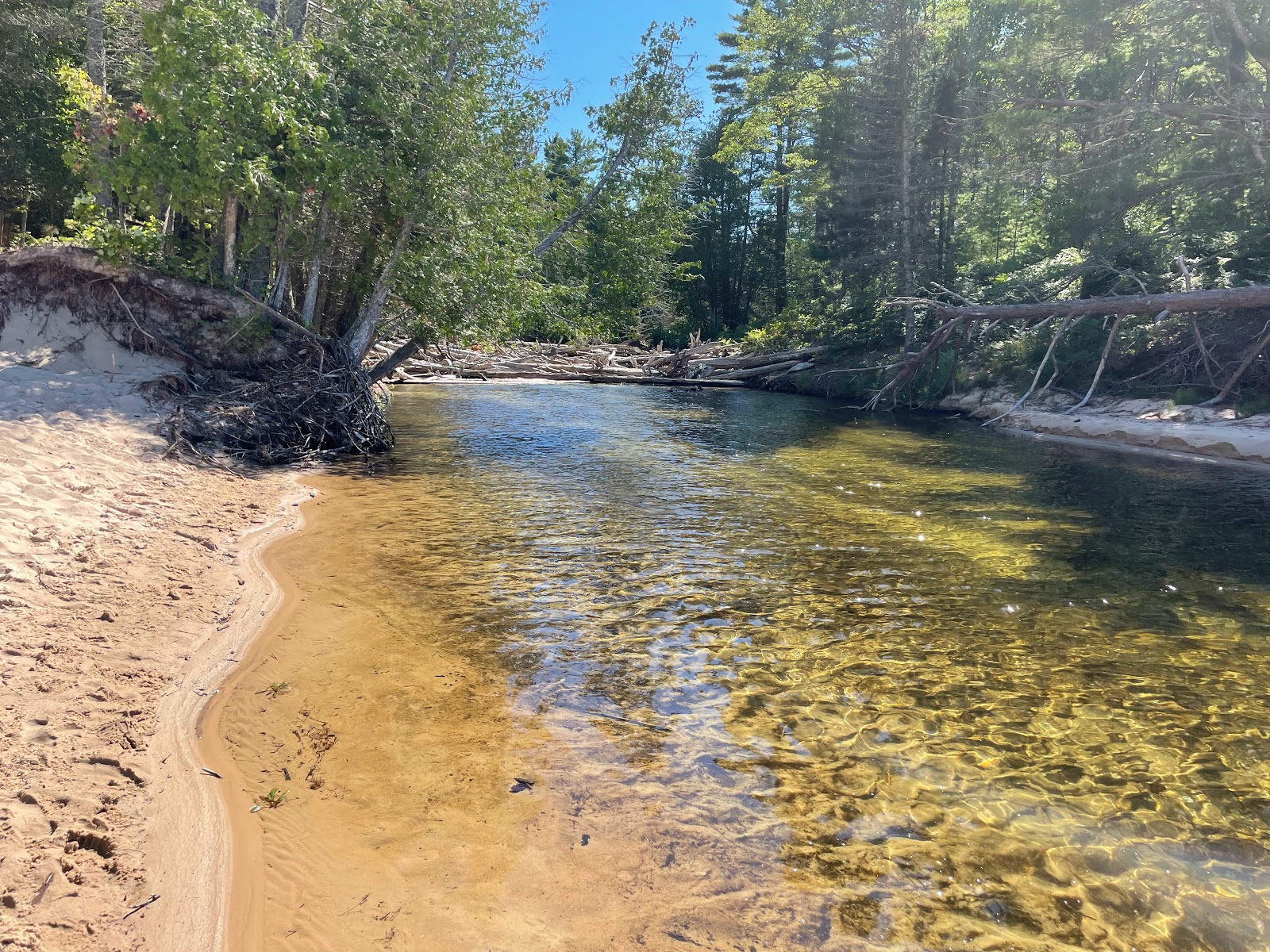 Beaver Creek Campground