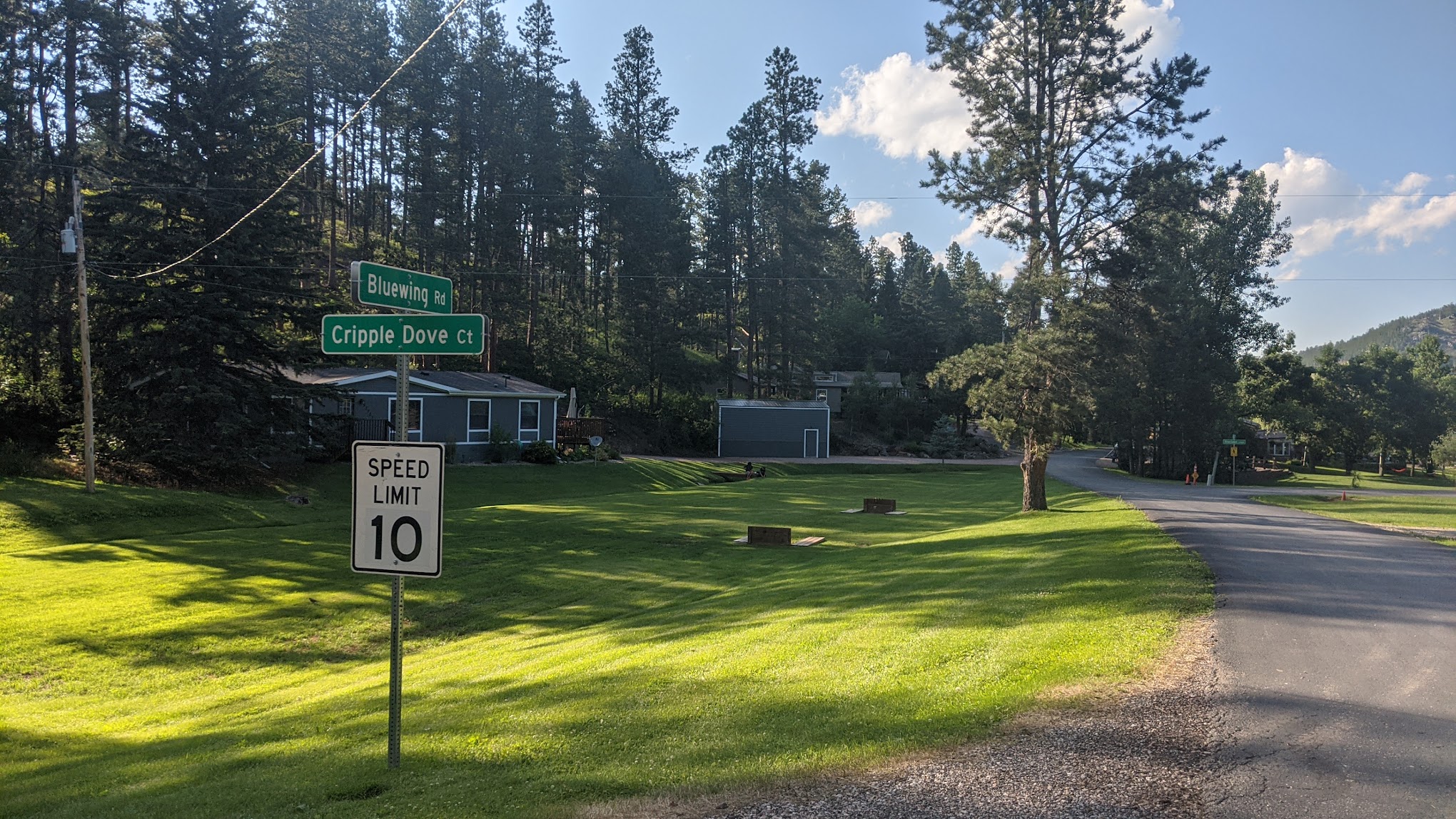 Blue Wing Recreation