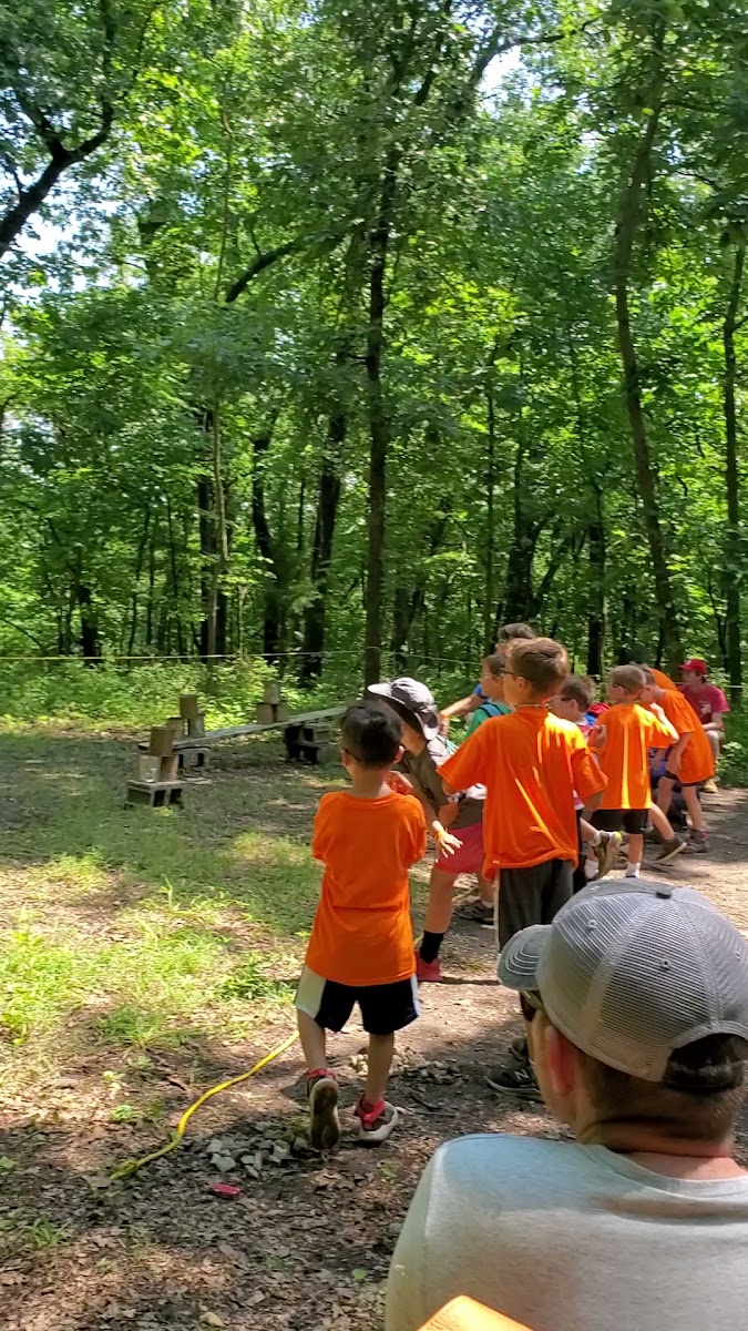 Cub World Slingshot Range